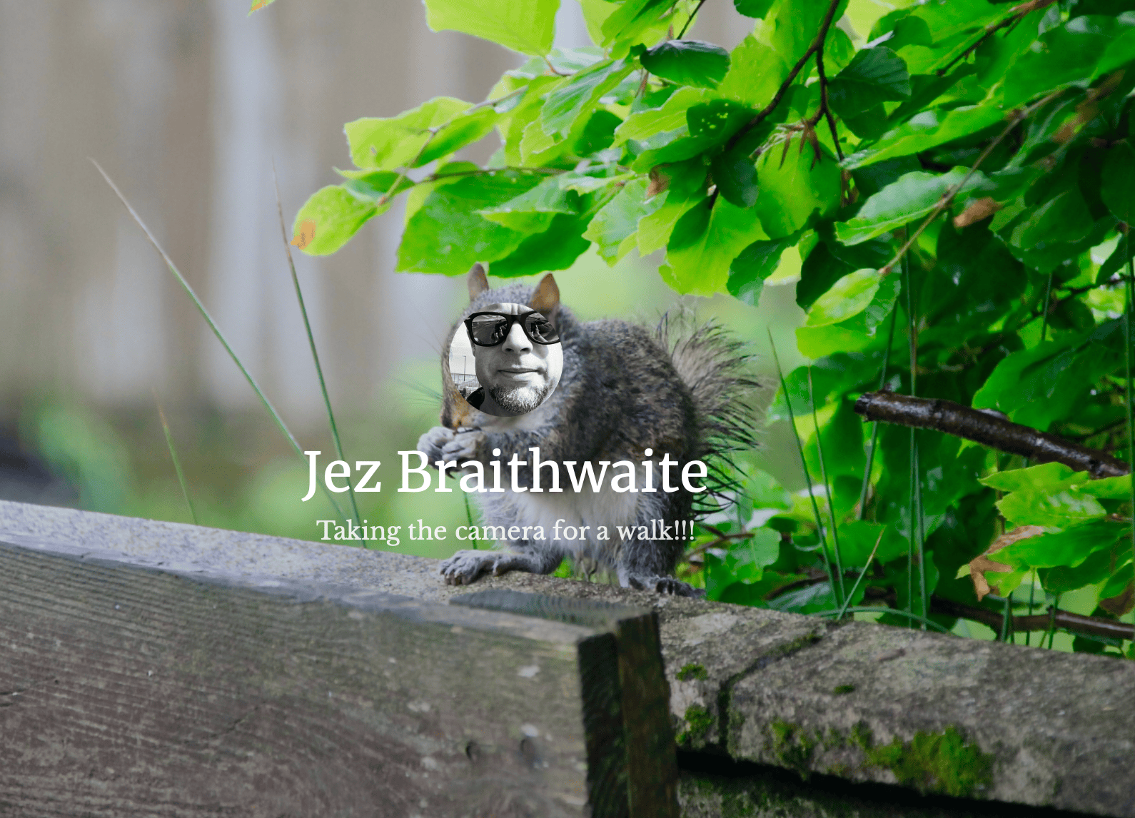 Jez the squirrel by Jez Braithwaite