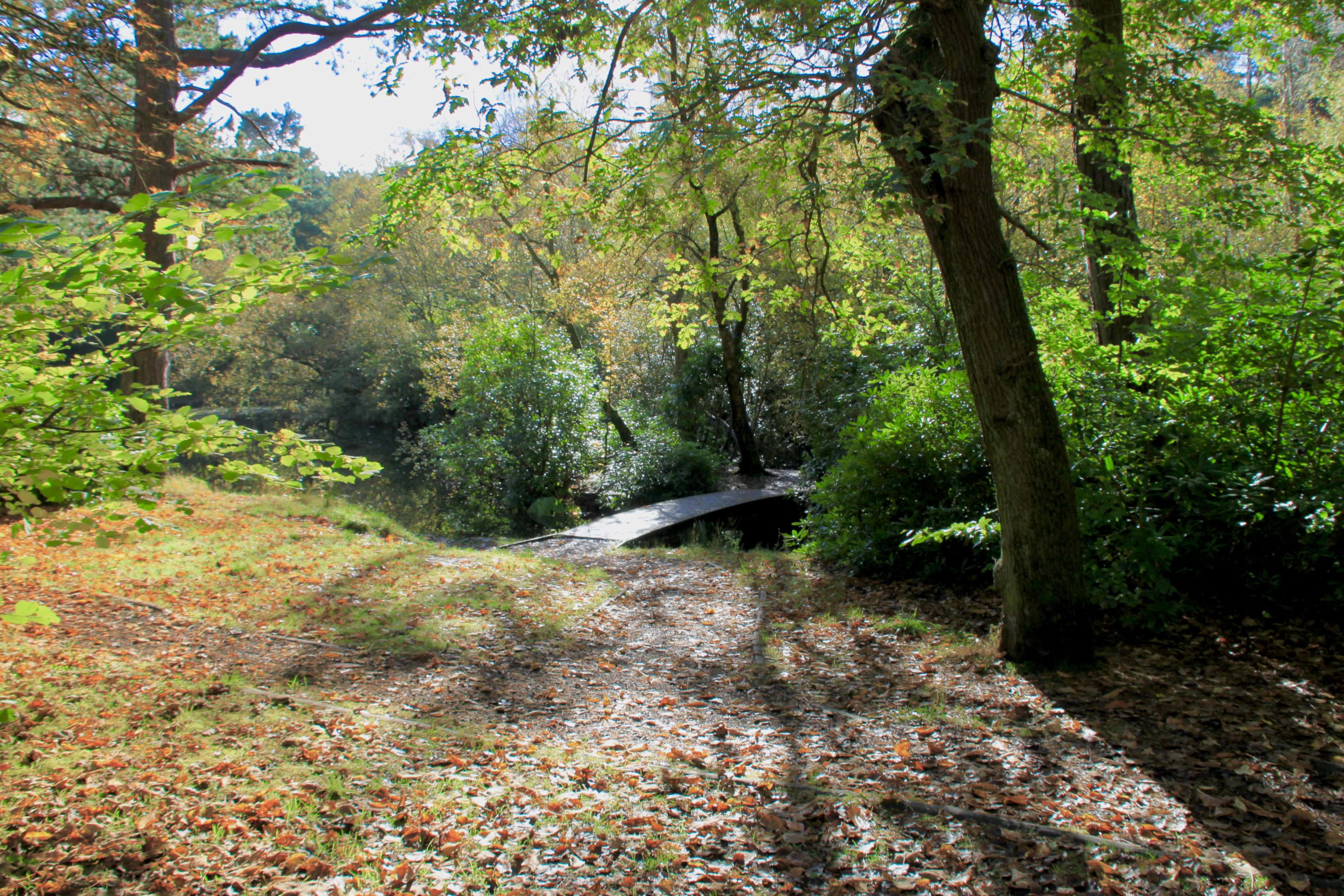 Fan Of… #17 — Pollock Country Park