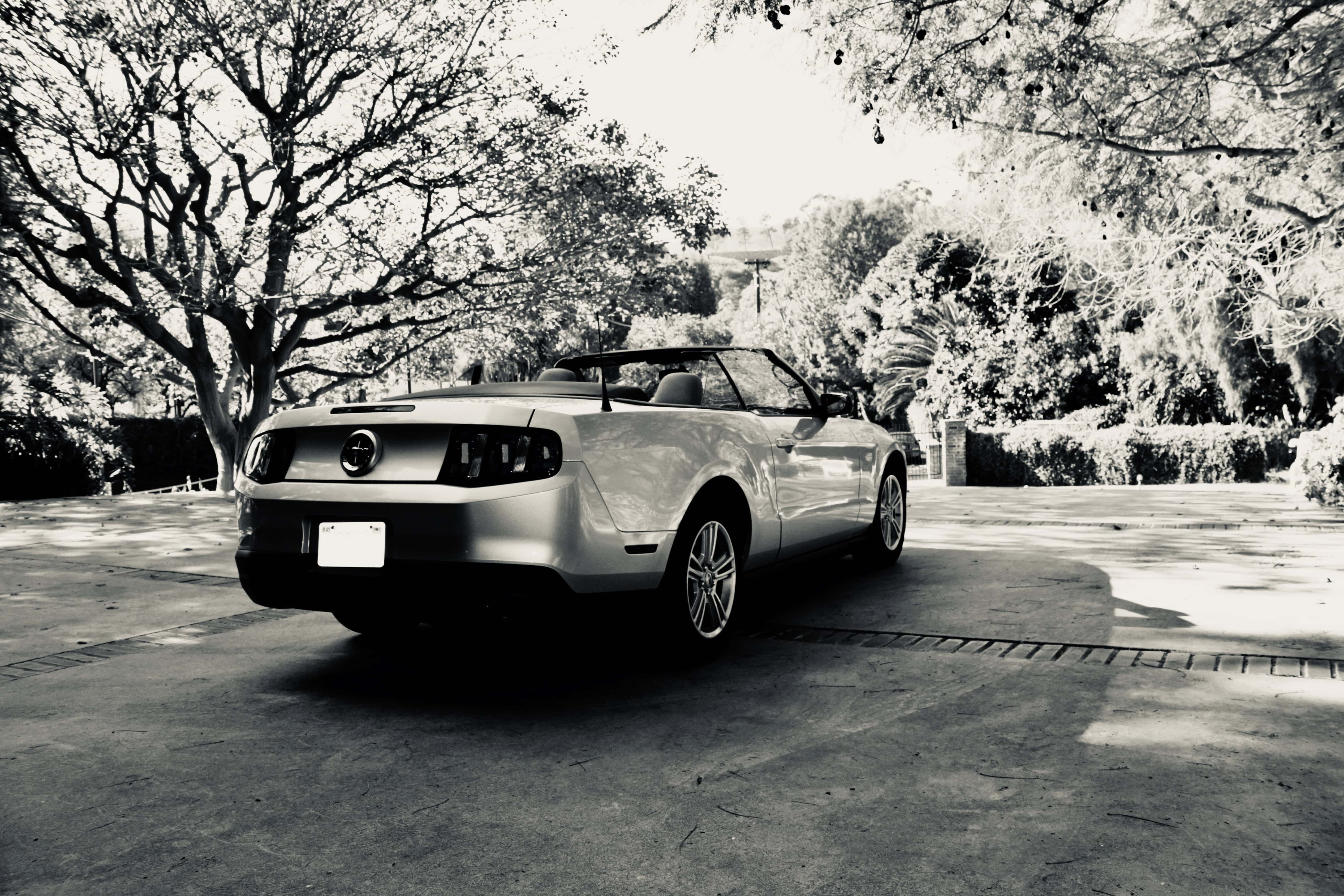 Ford Mustang Convertible by Jez Braithwaite
