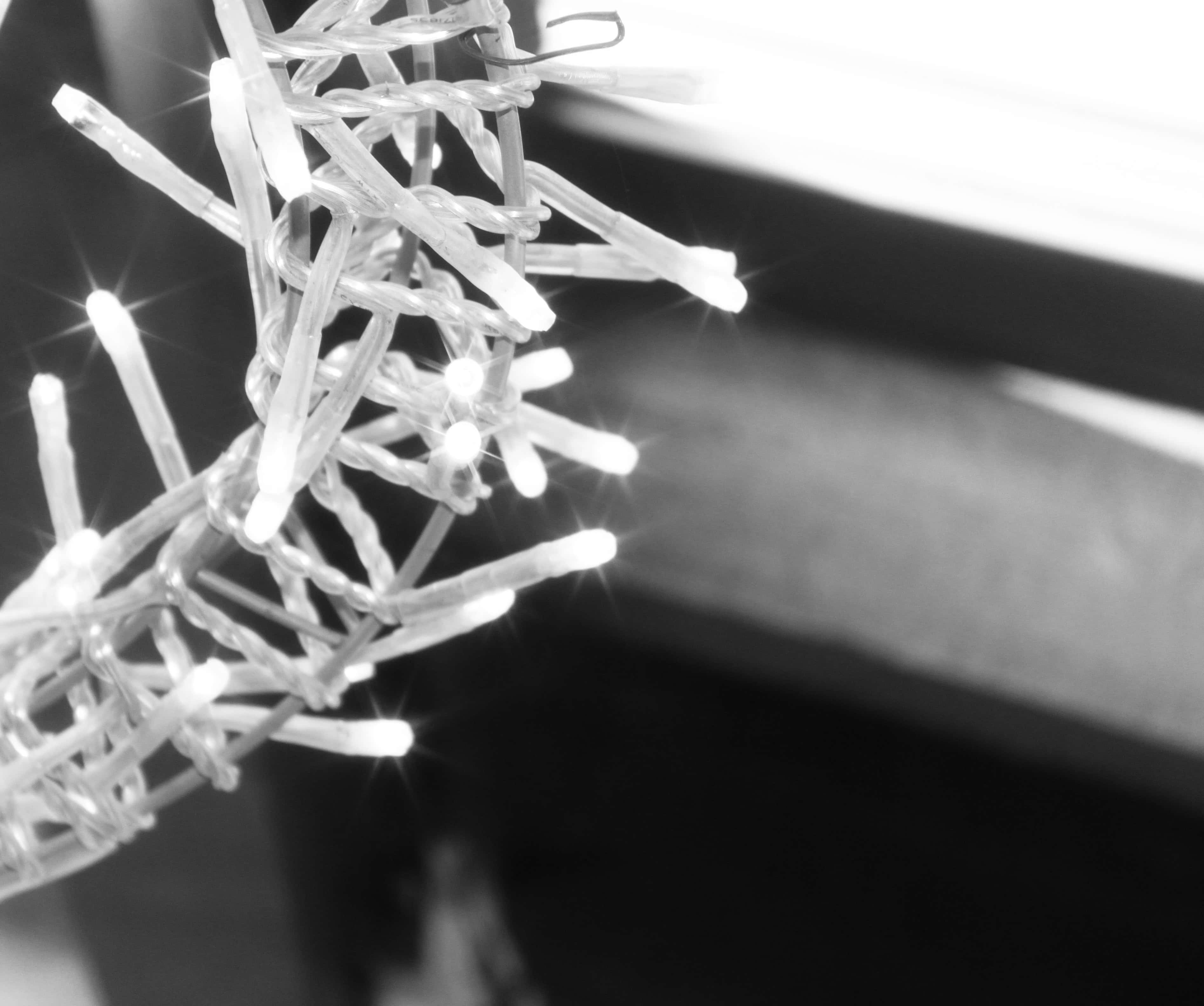 Cee’s Black and White Photo Challenge — Lighting