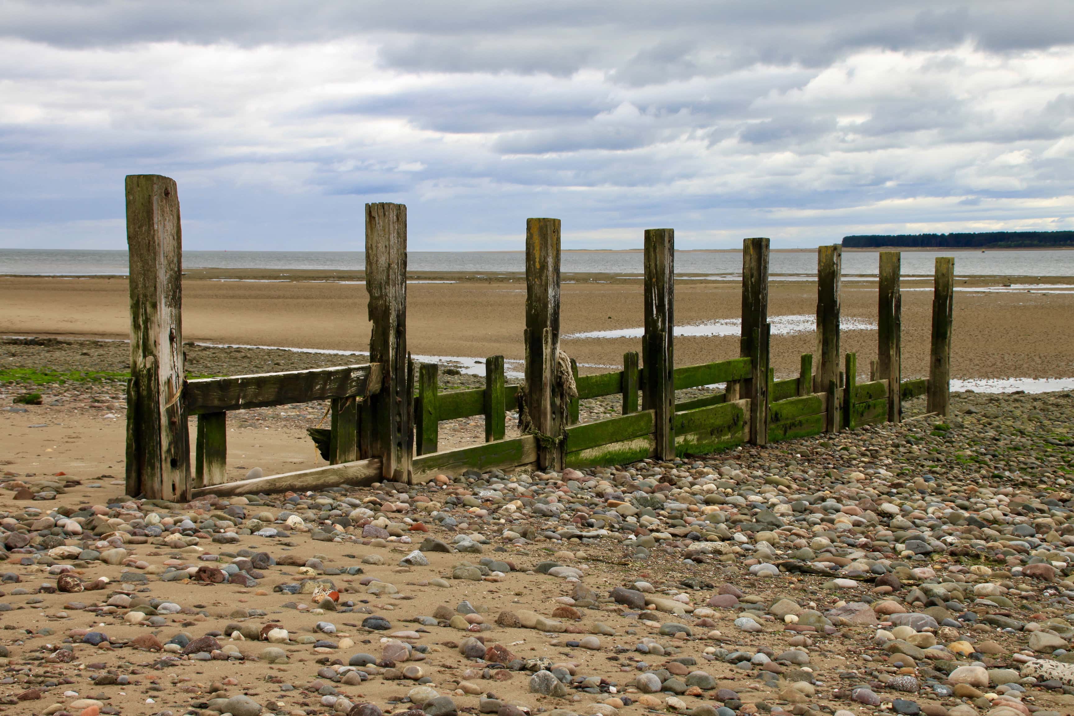 Groyne on Broughty Ferry Beach by Jez Braithwaite