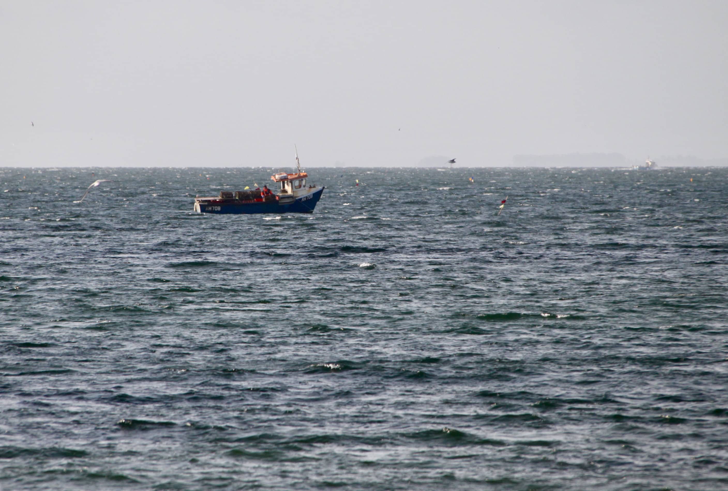 Lobster boat off Arbroath by Jez Braithwaite