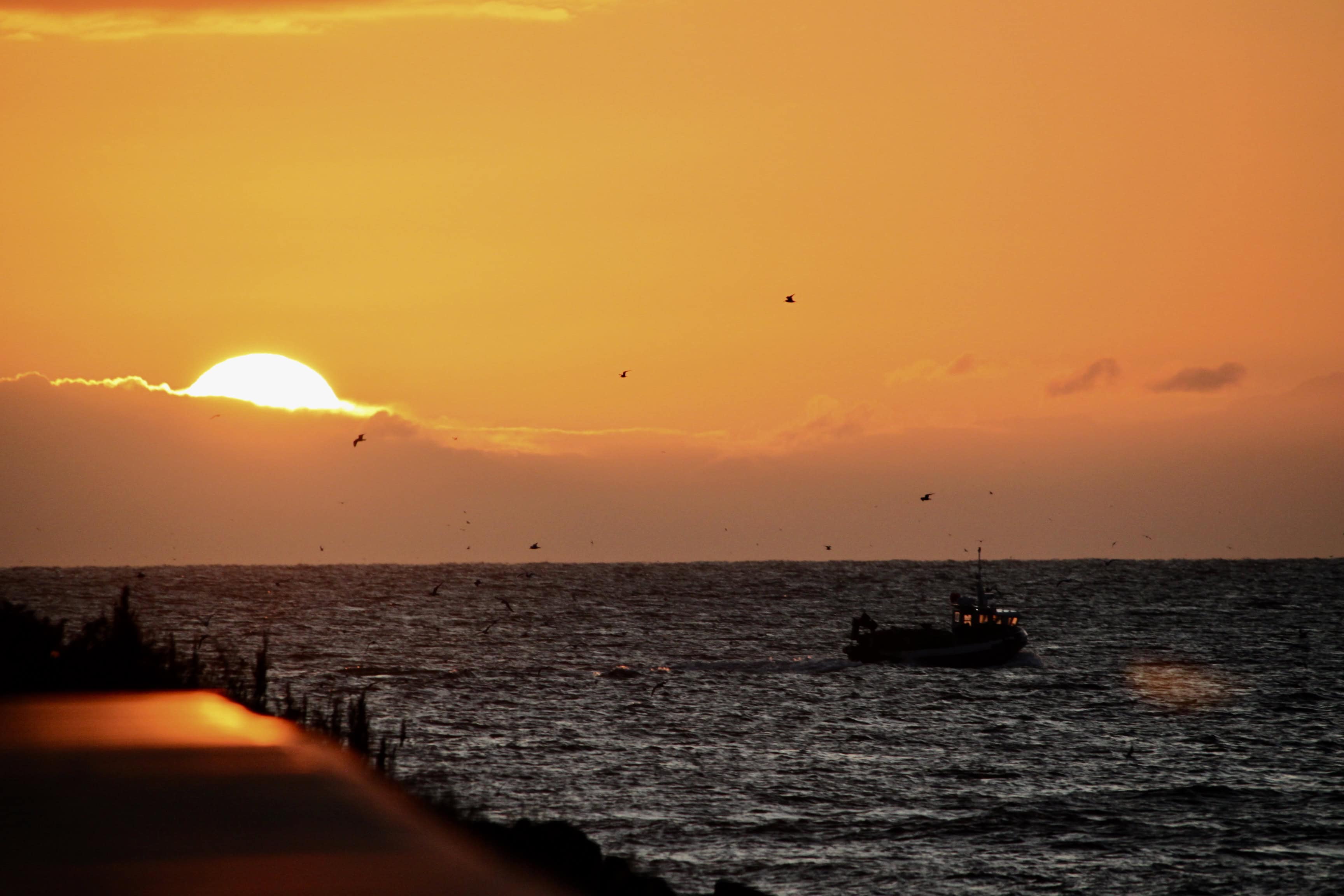 Lens-Artists Photo Challenge #62: Silhouettes
