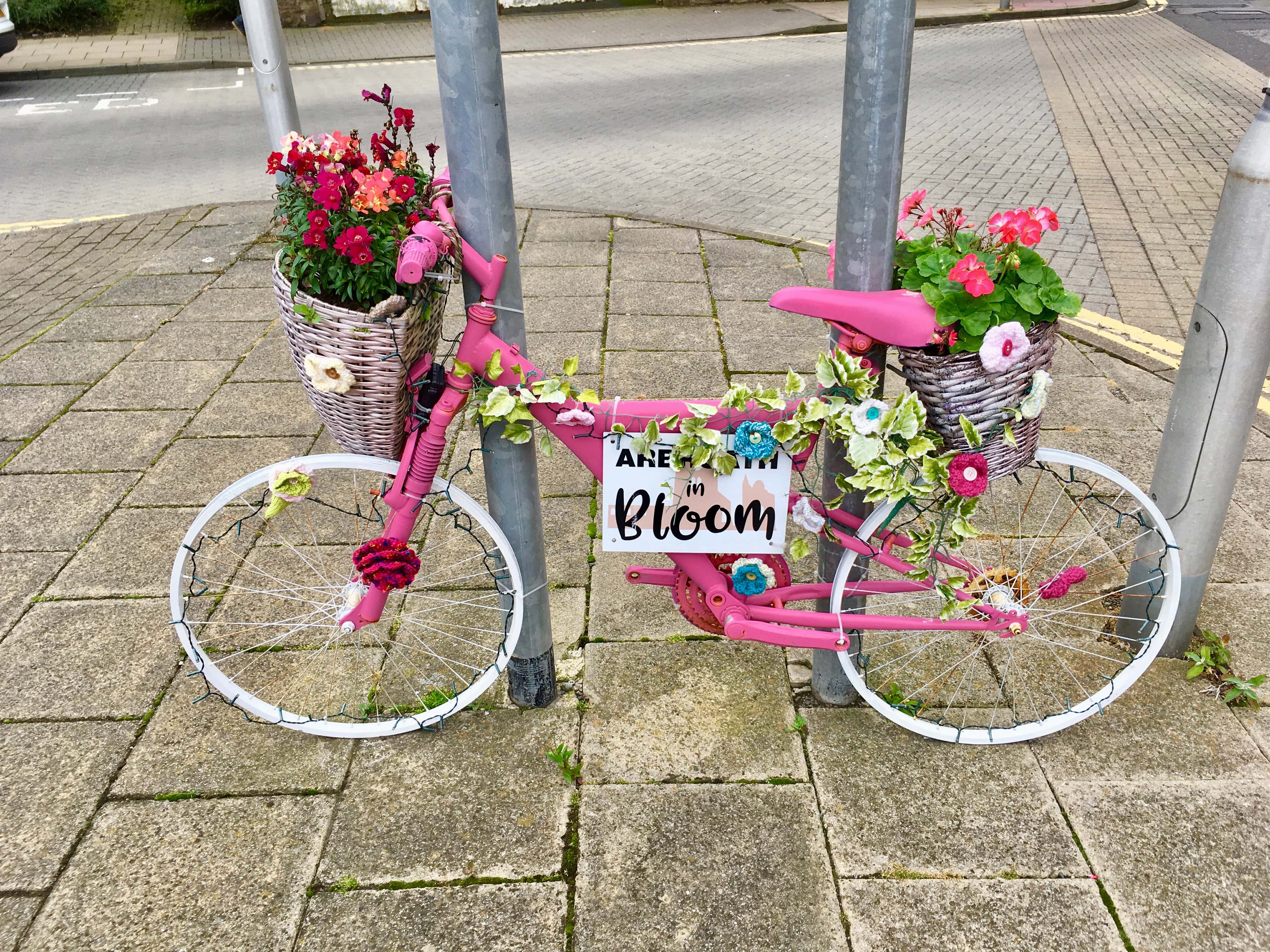 Arbroath in Bloom