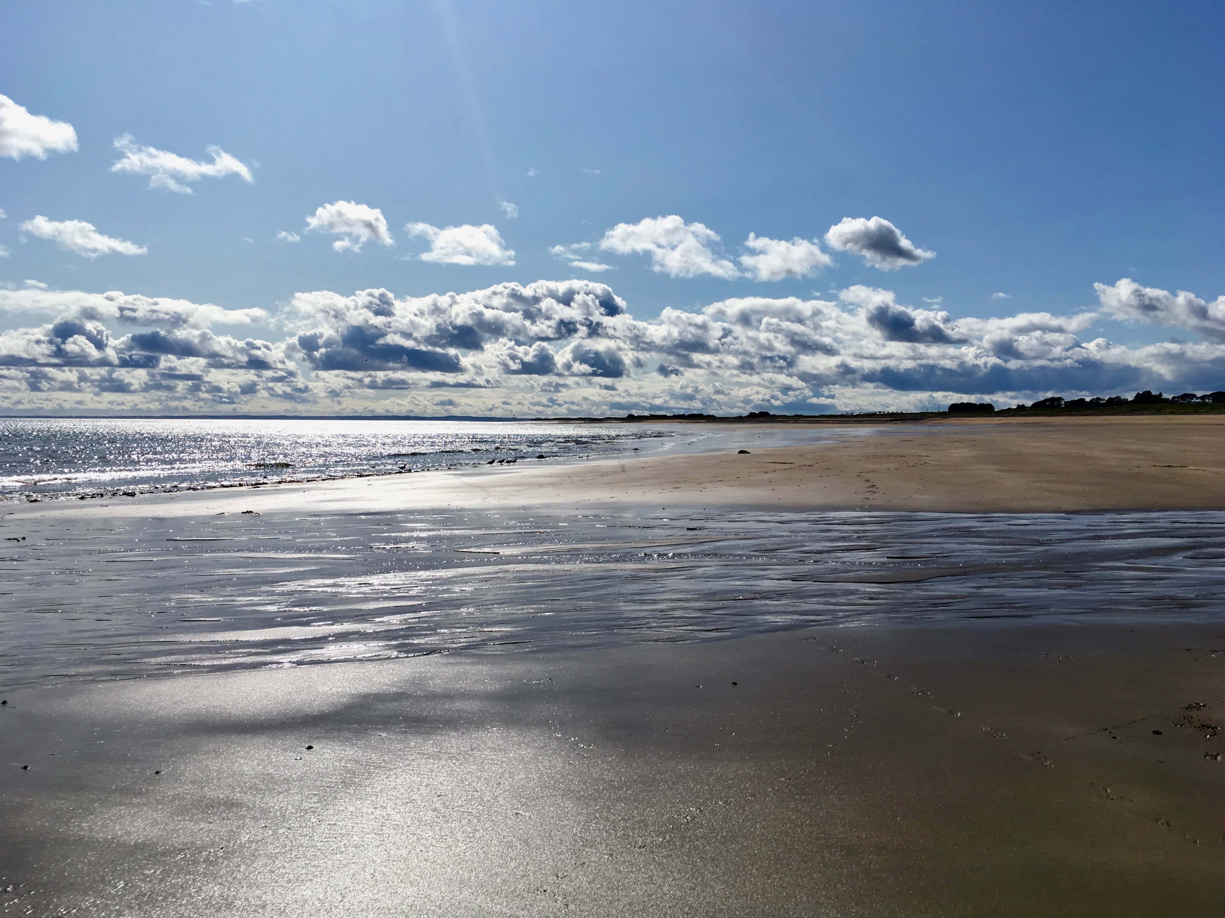 Fan Of… #32 — Arbroath Beach