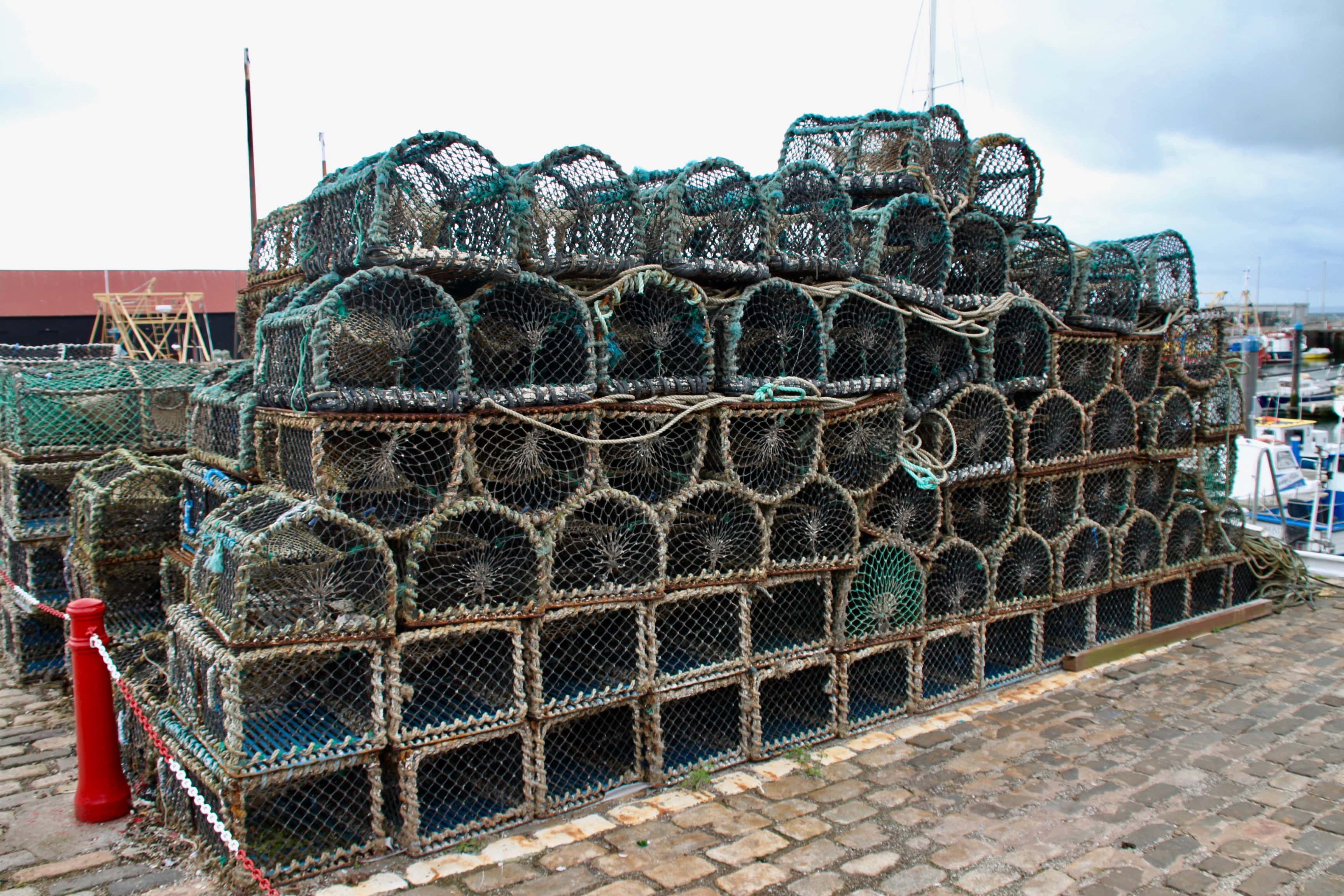 Crab pots and lobster creels at Arbroath Harbour by Jez Braithwaite