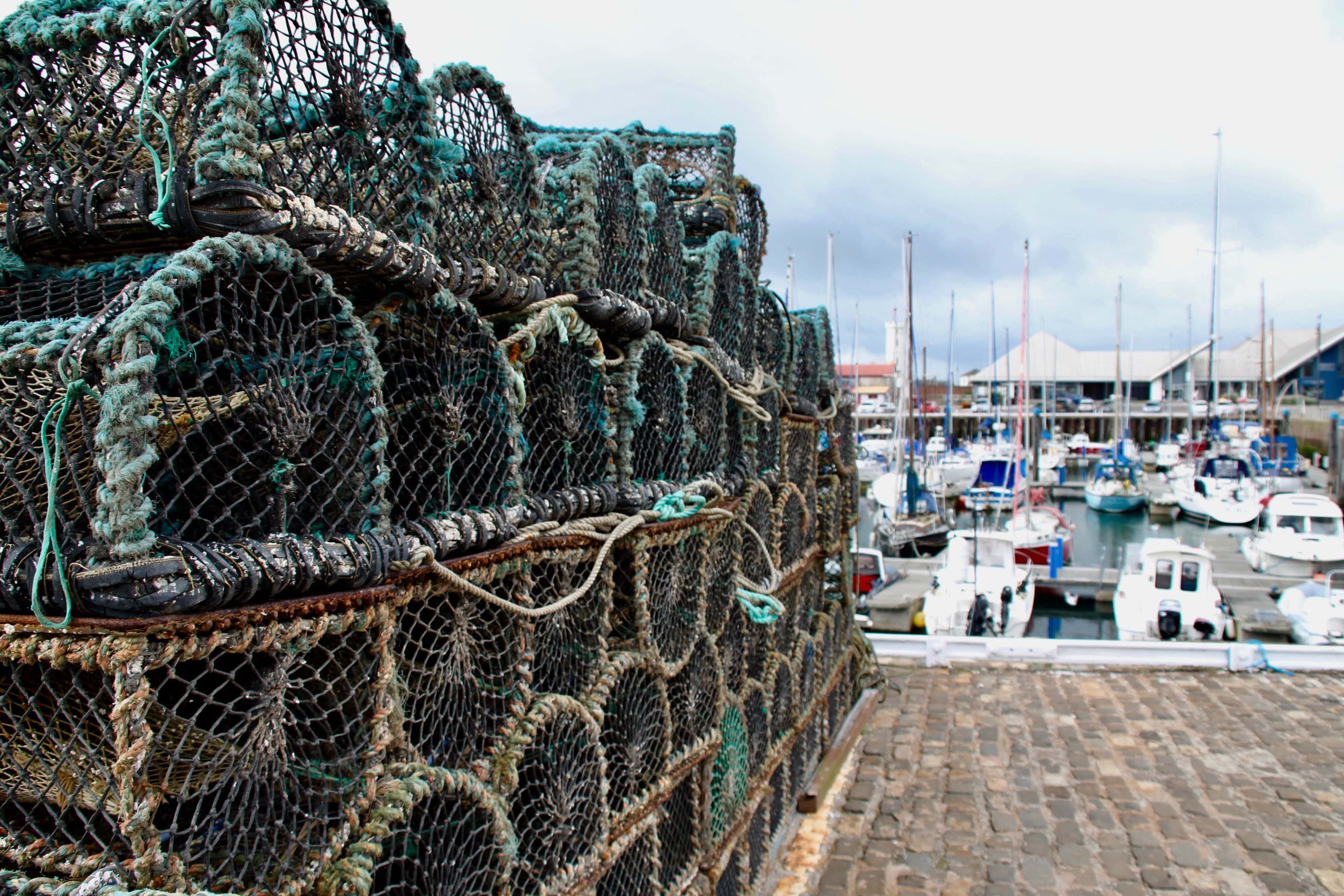 Lobster creels in Arbroath Harbour by Jez Braithwaite