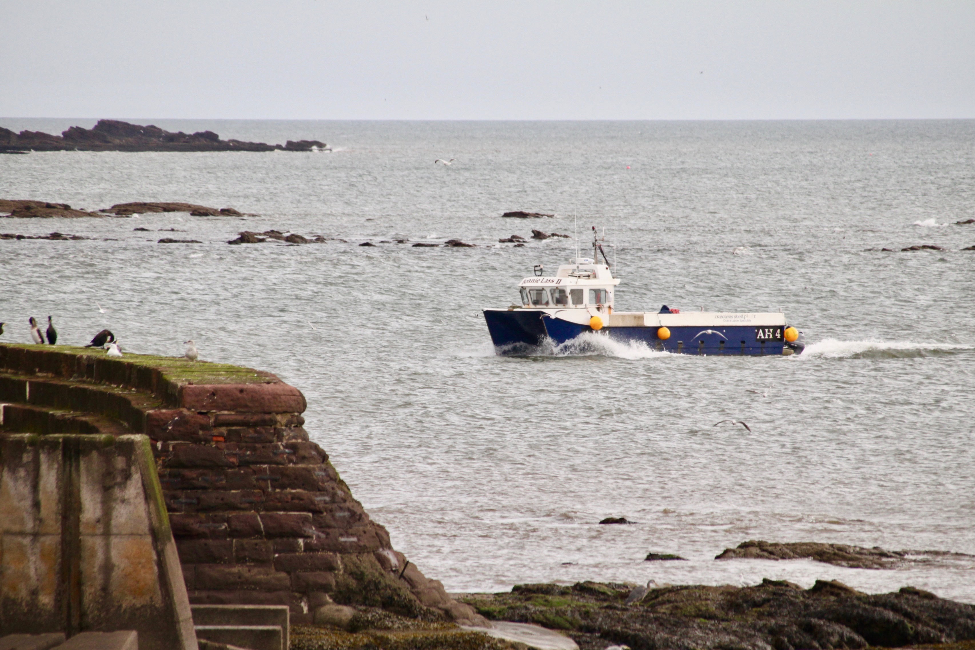 Bonnie Lass II returning to Arbroath harbour by Jez Braithwaite