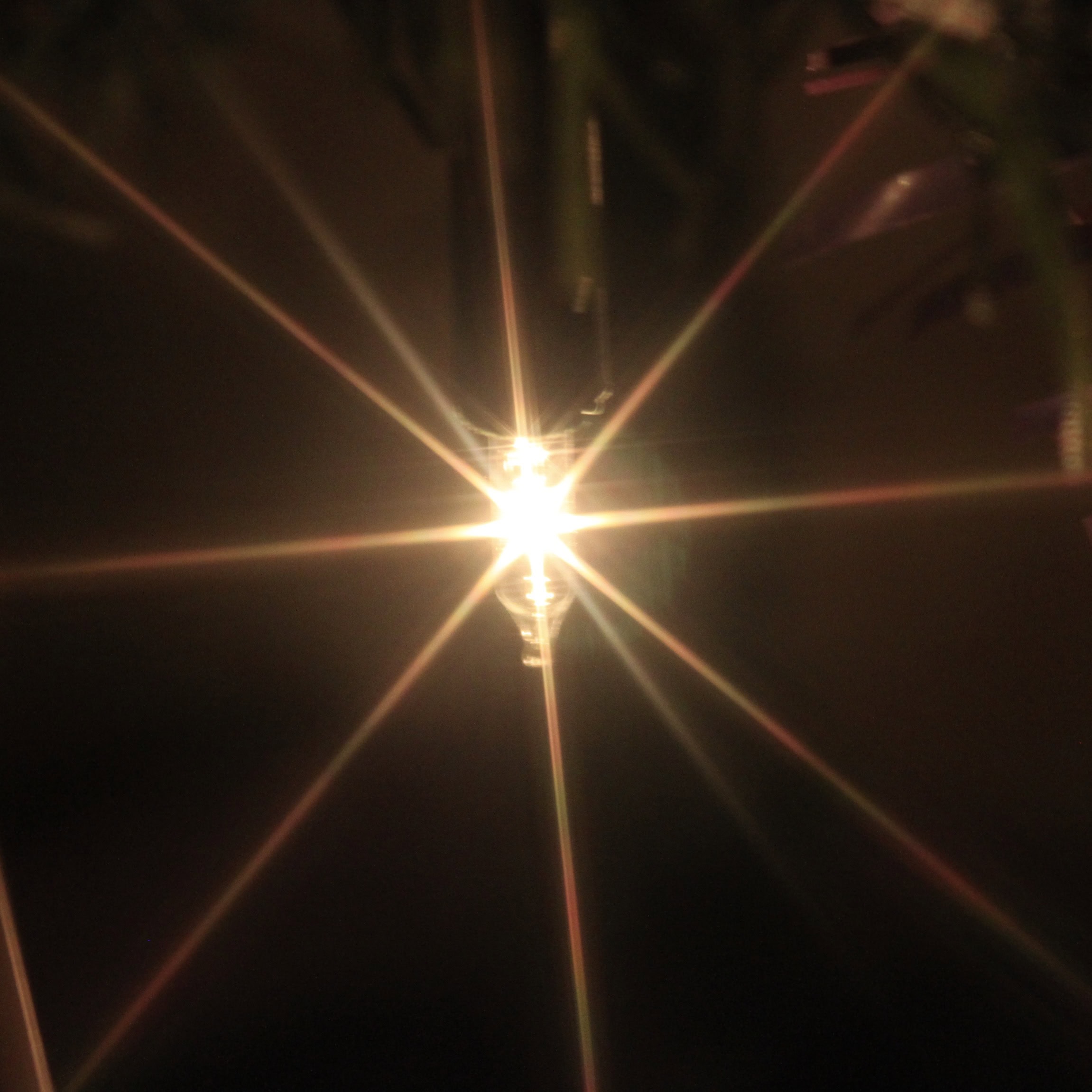 Star Lines