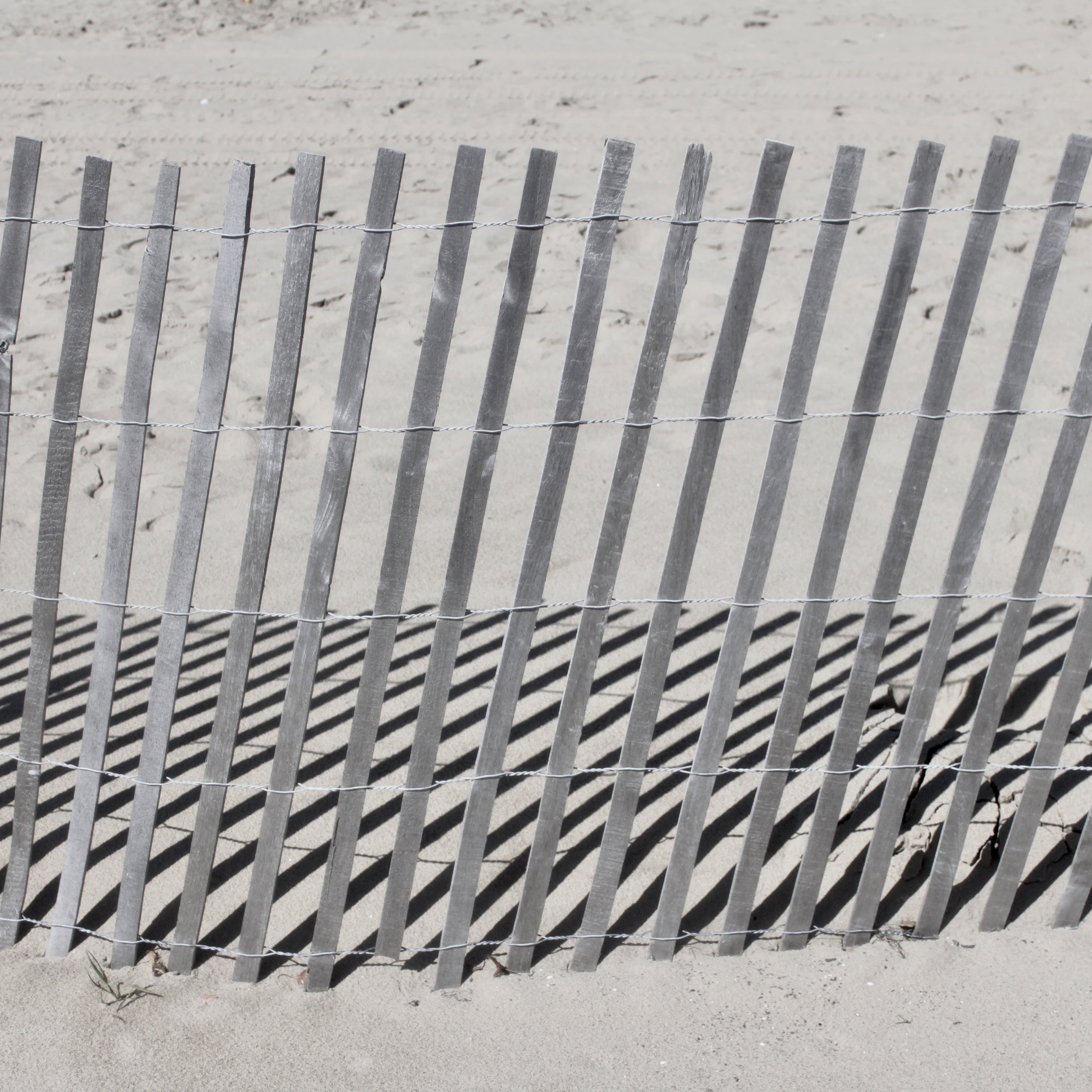 Casting Shadows by Jez Braithwaite