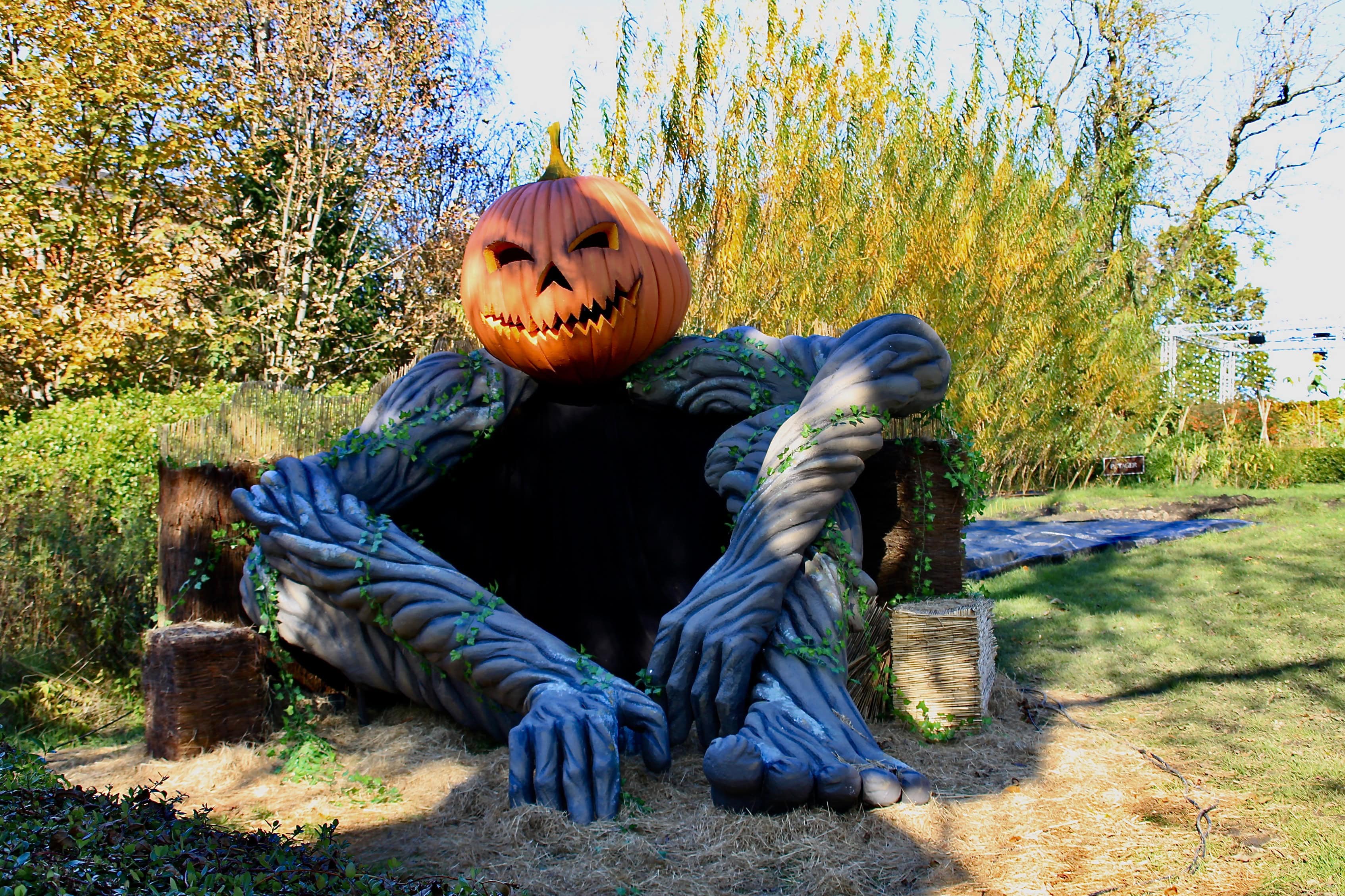 Giant Pumpkin Man at Glasgow Botanic Gardens by Jez Braithwaite