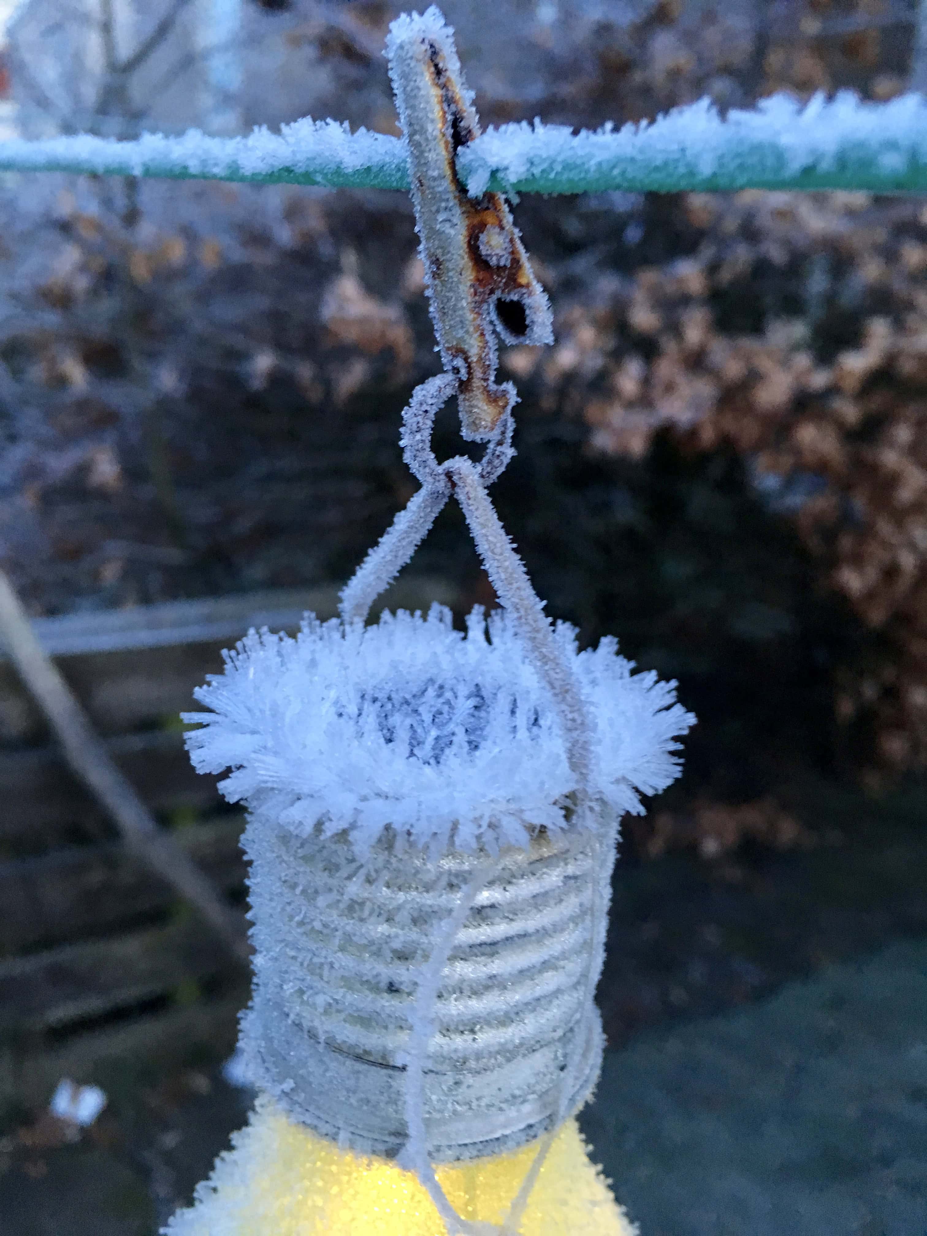 Ice crystals by Jez Braithwaite