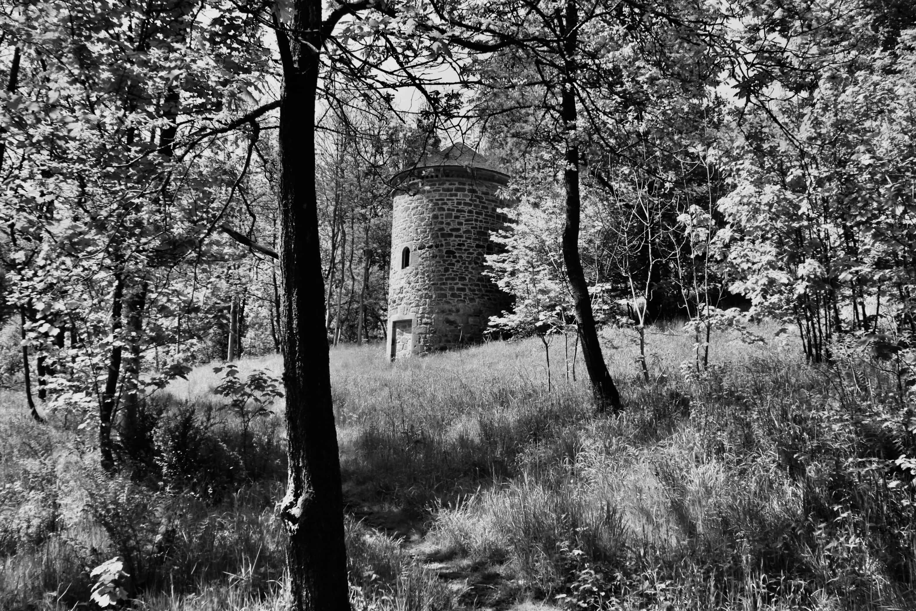 Doocote by Jez Braithwaite