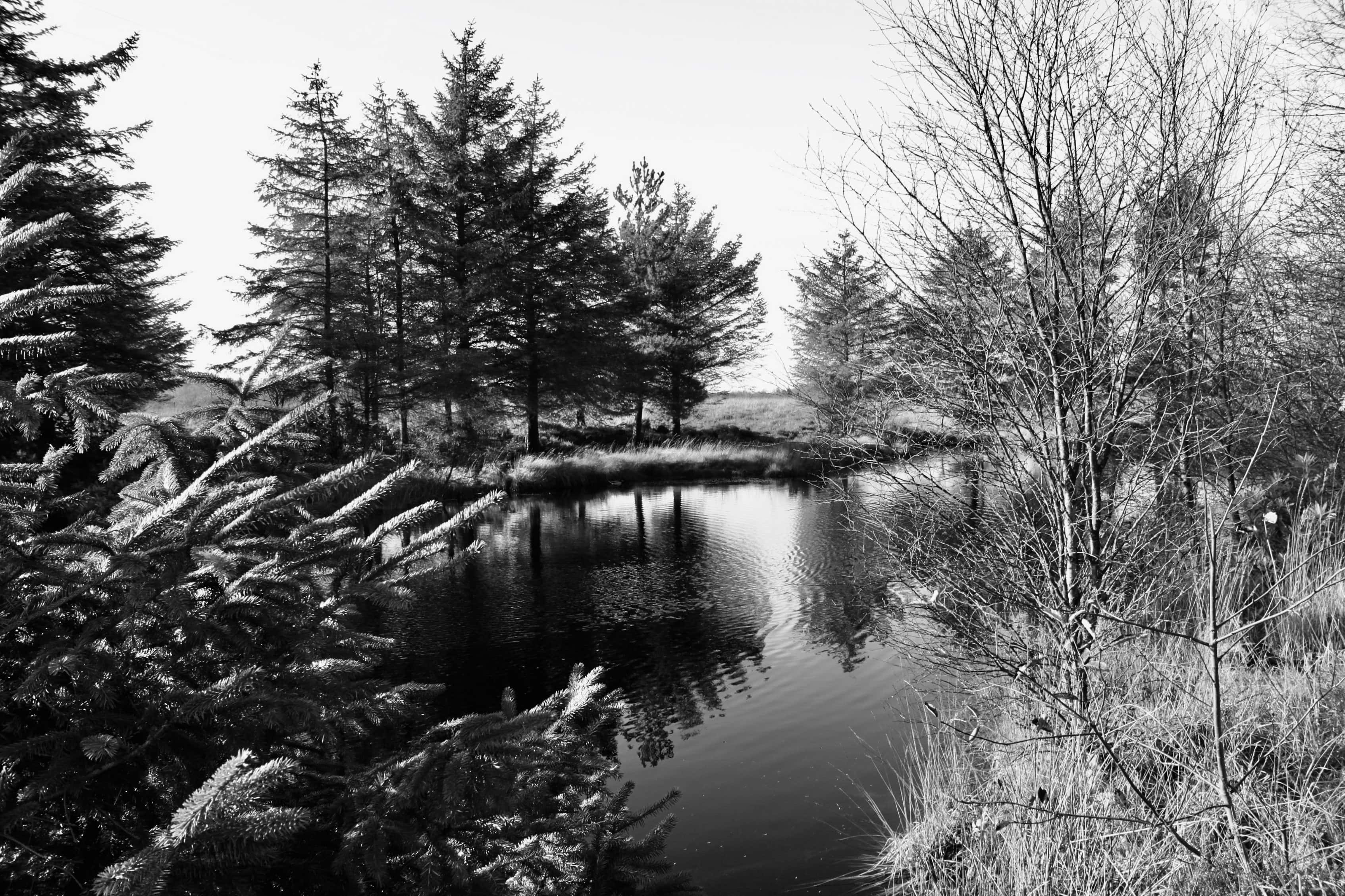 Lochan by Jez Braithwaite