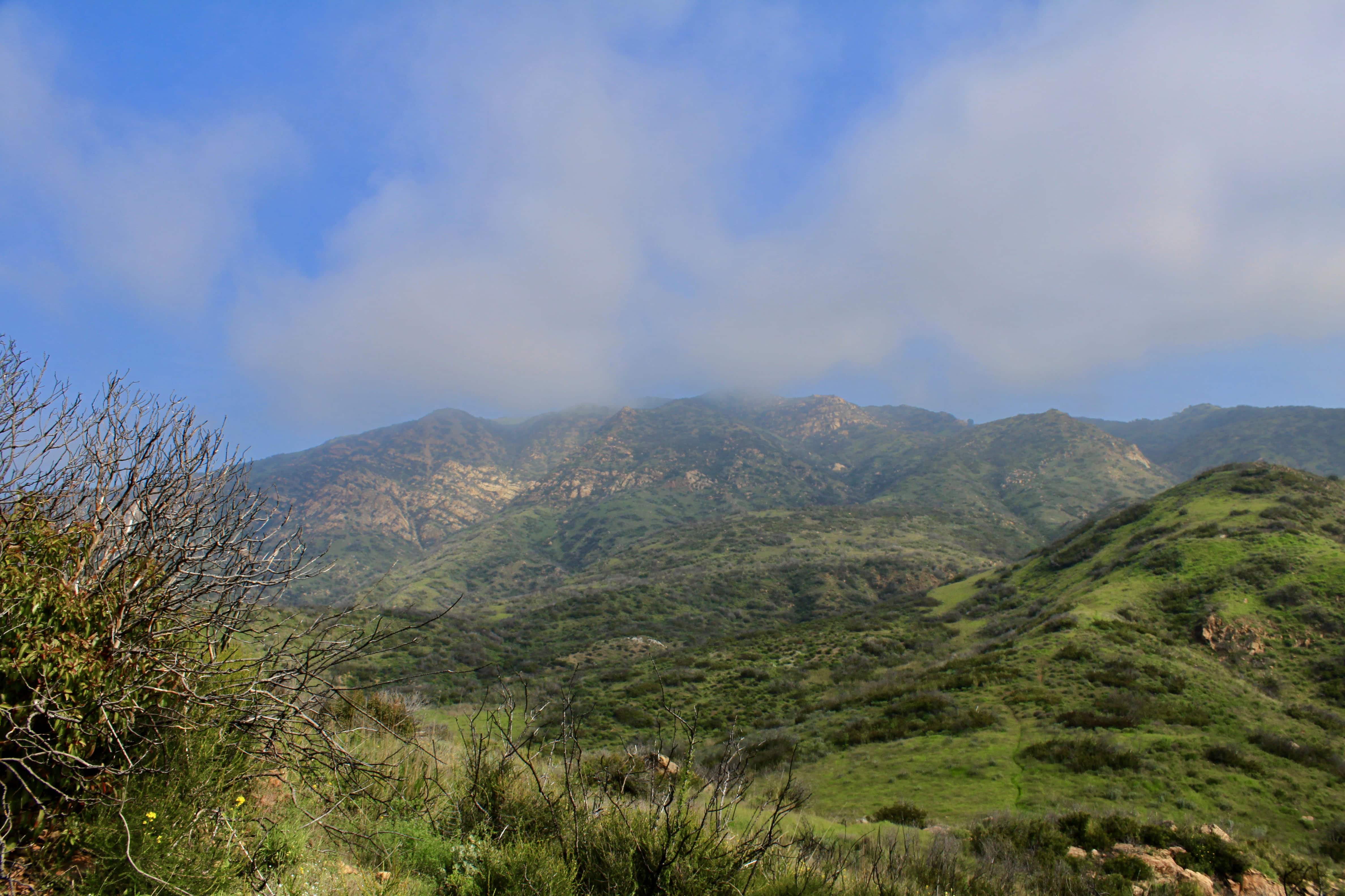 Serra Hills, Malibu by Jez Braithwaite