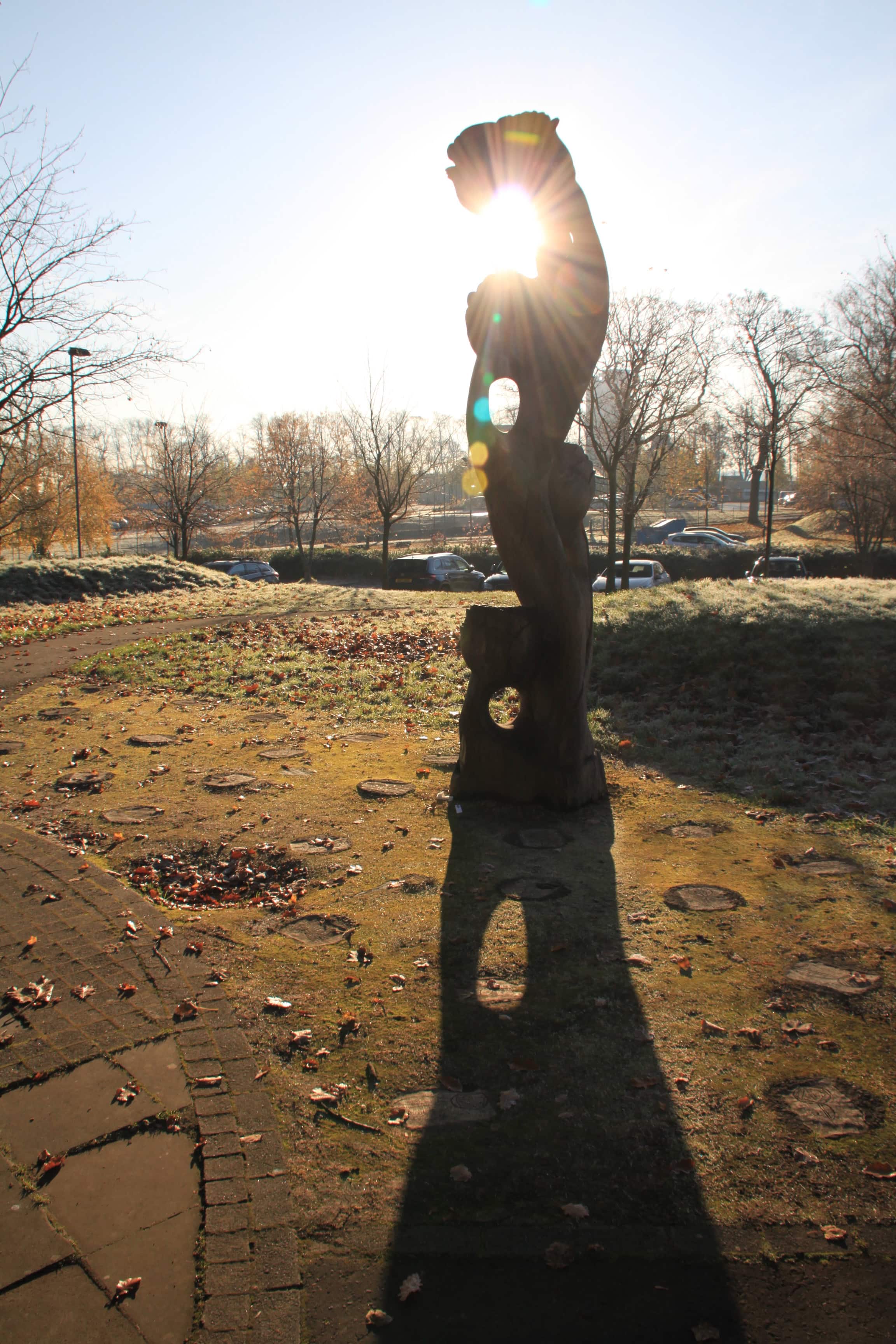 Sunny Sculpture by Jez Braithwaite