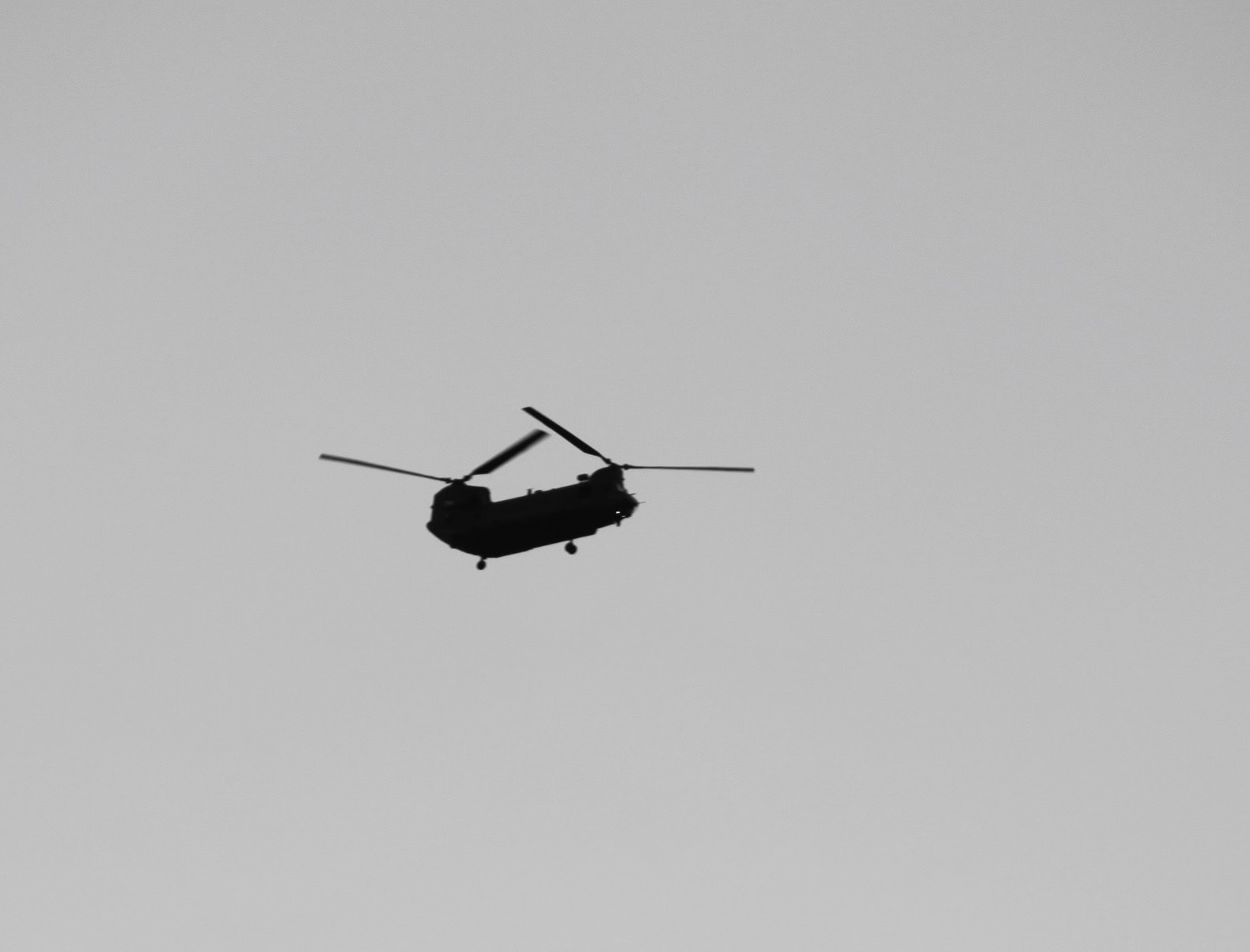 Chinook by Jez Braithwaite