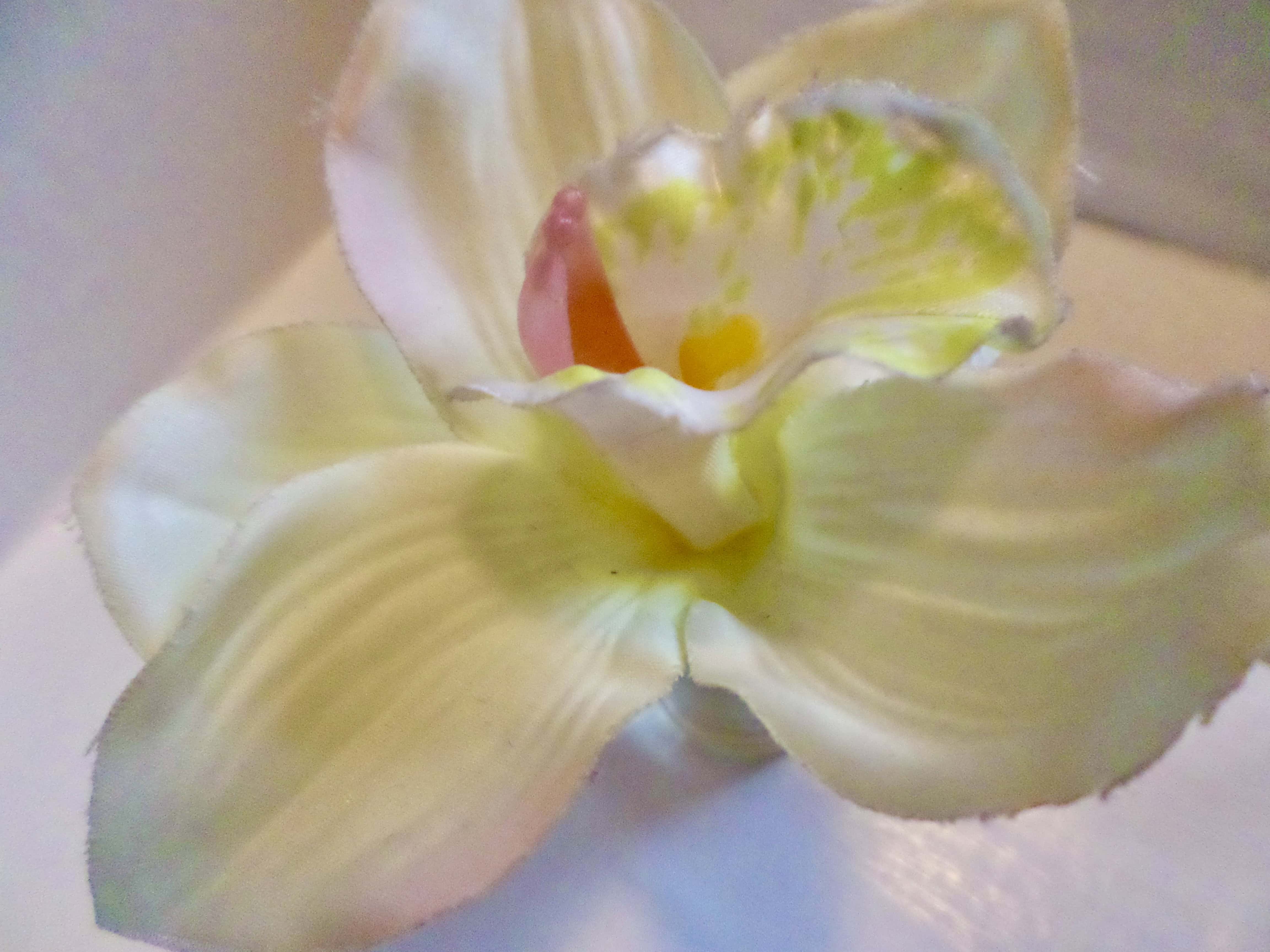 Gum-flooer — Things in Scots #4