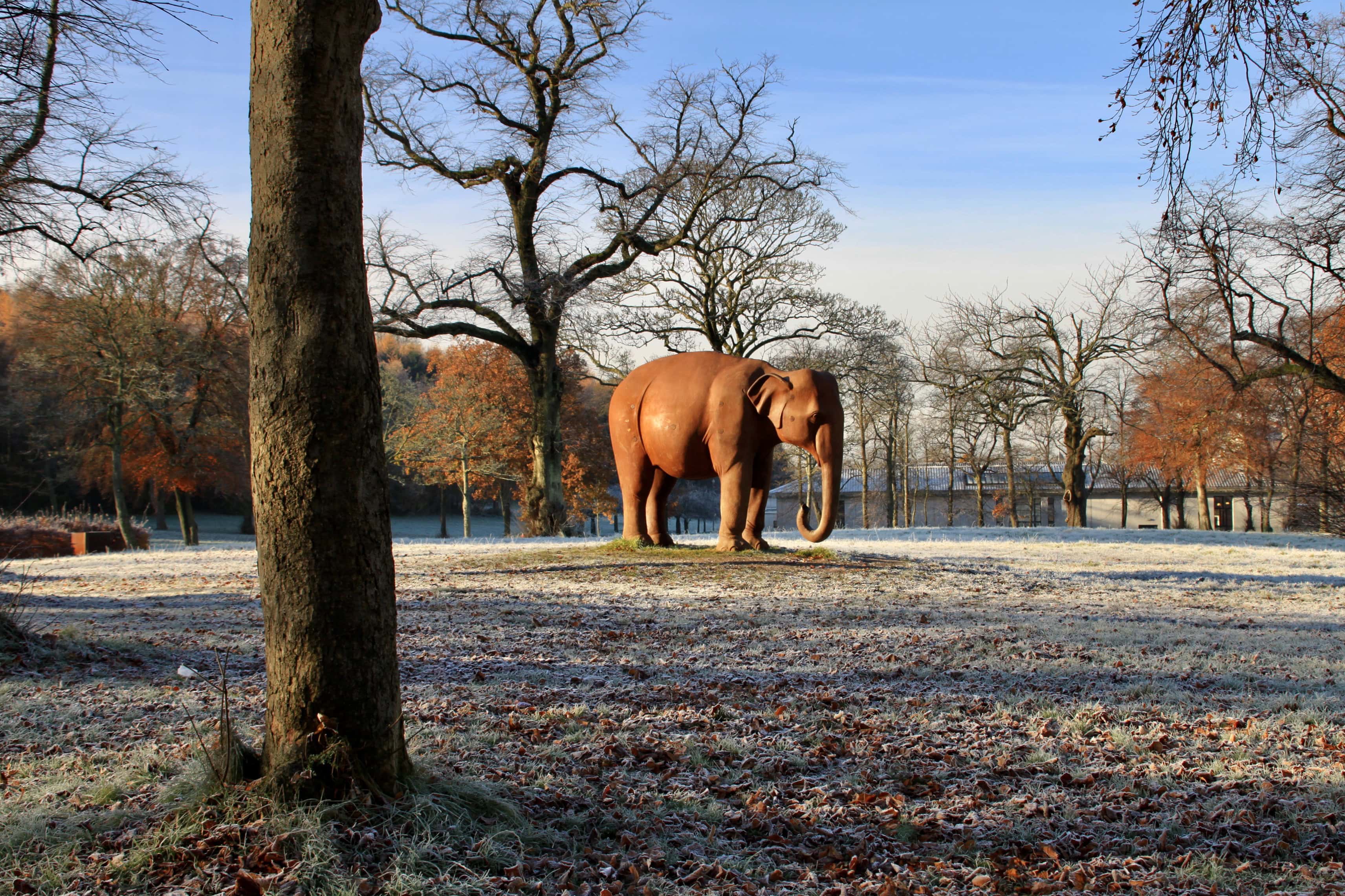 Elephant for Glasgow — Sculpture Saturday