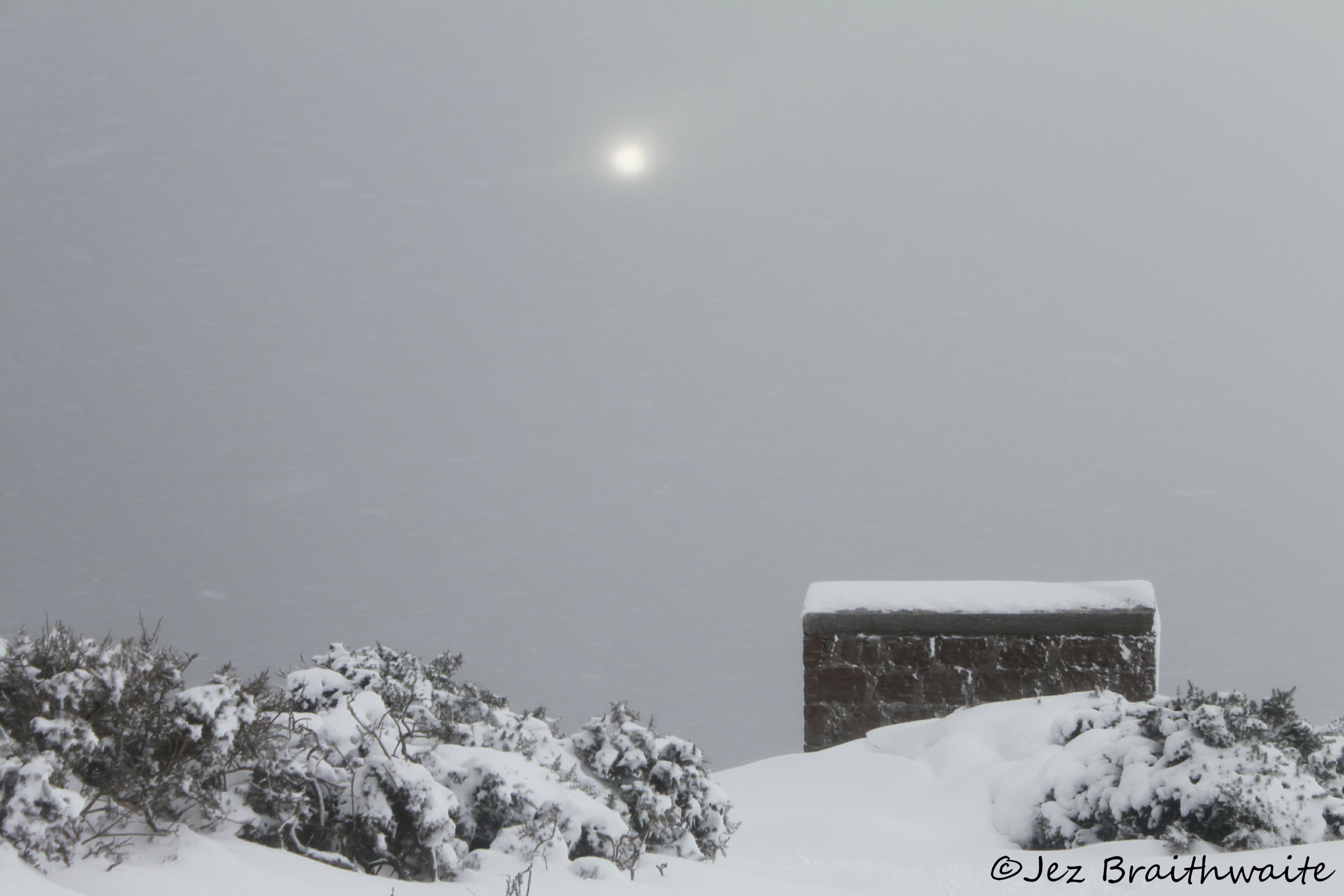 Sun through the snow