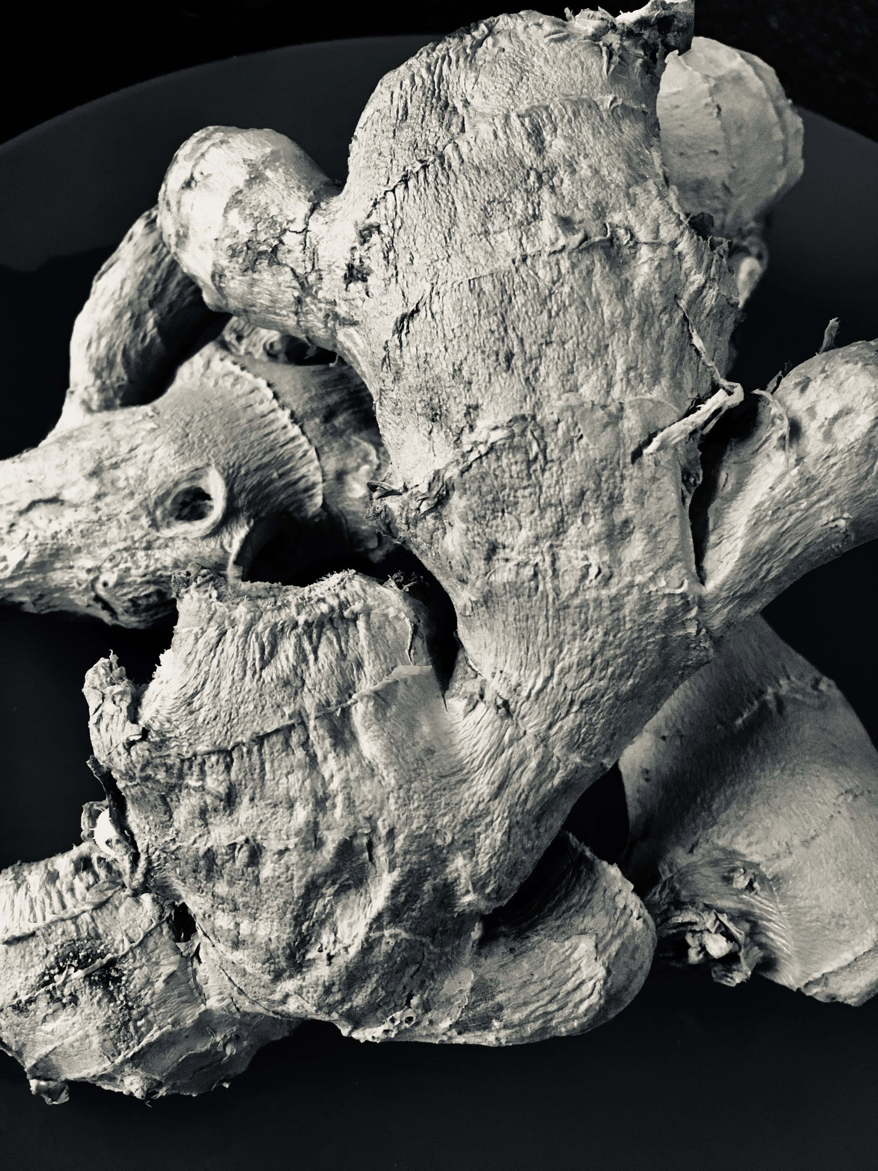 Ginger root in silvertone by Jez Braithwaite