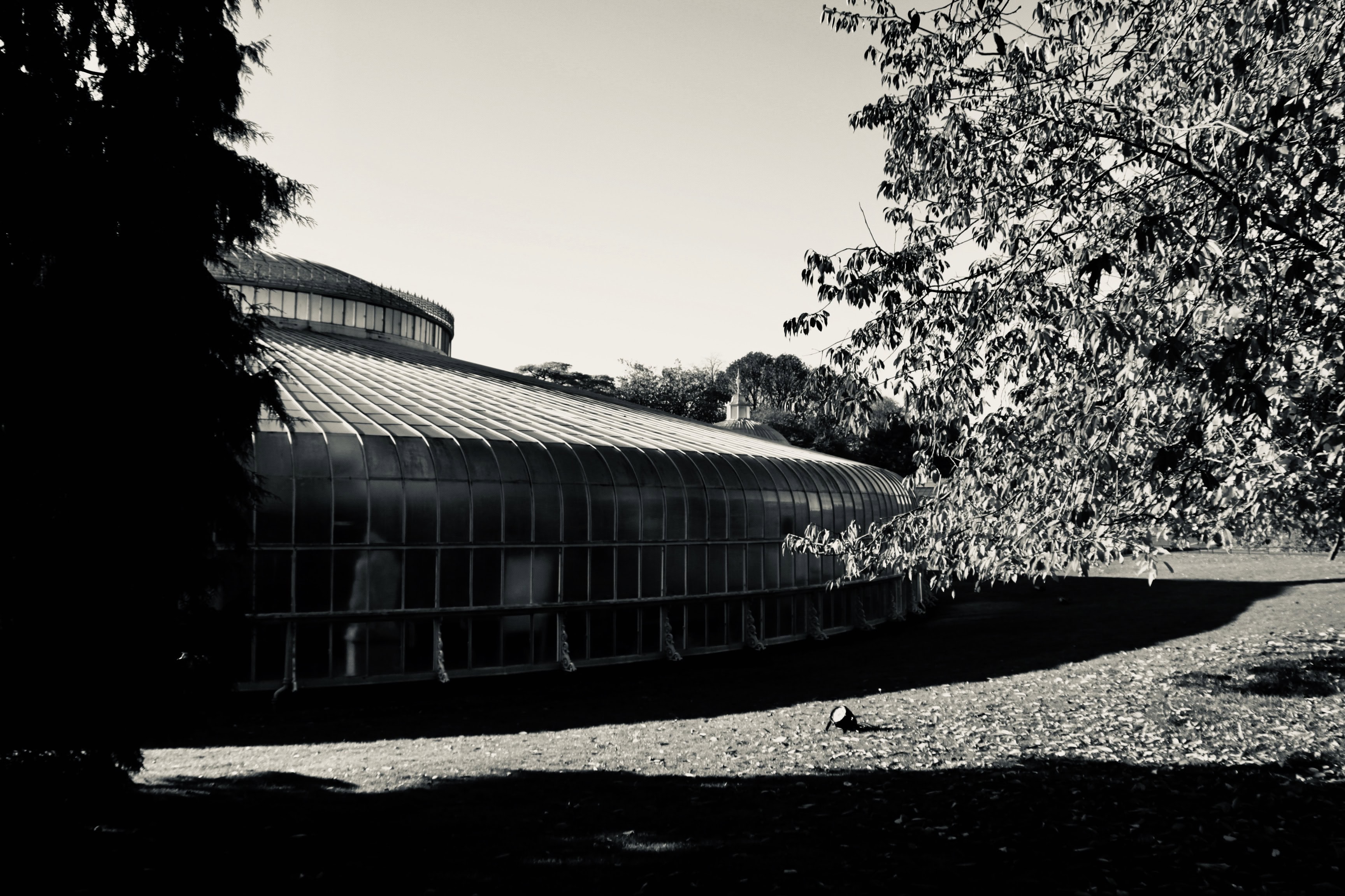 Kibble Palace
