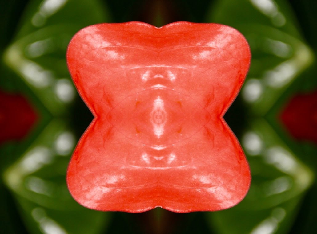 Anthurium -- Quad symmetry
