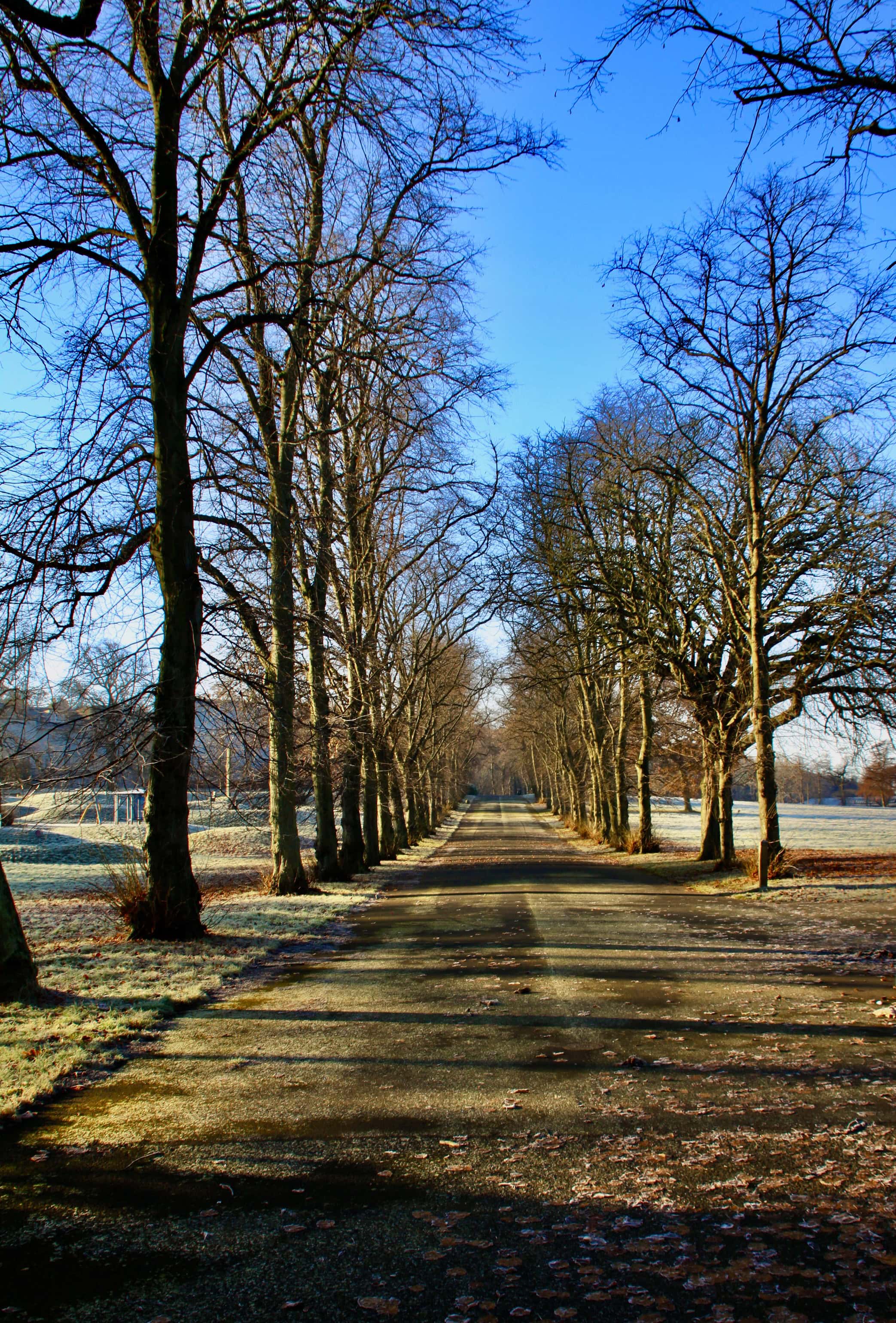 Bellahouston Park