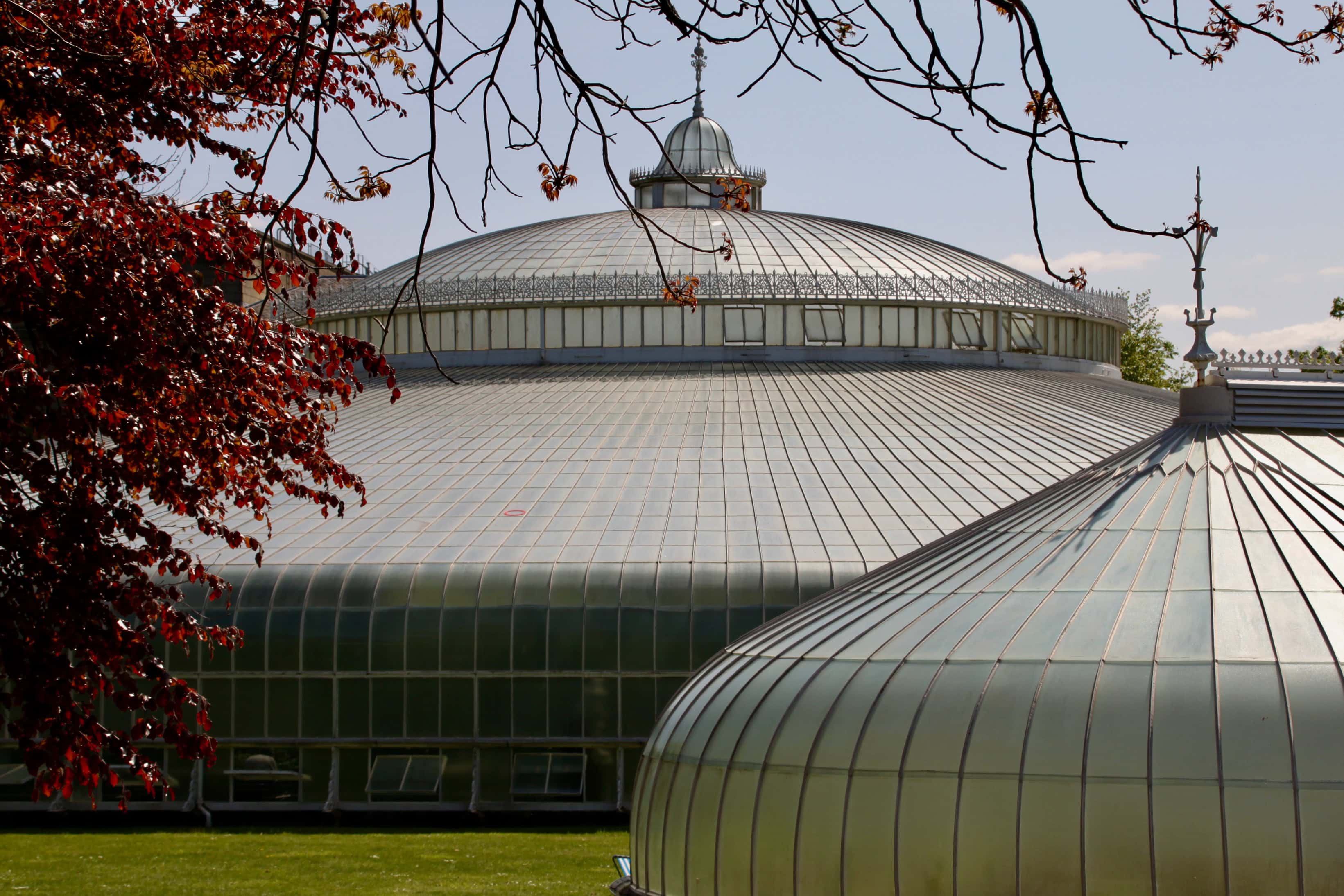 Kibble Palace with red leafs