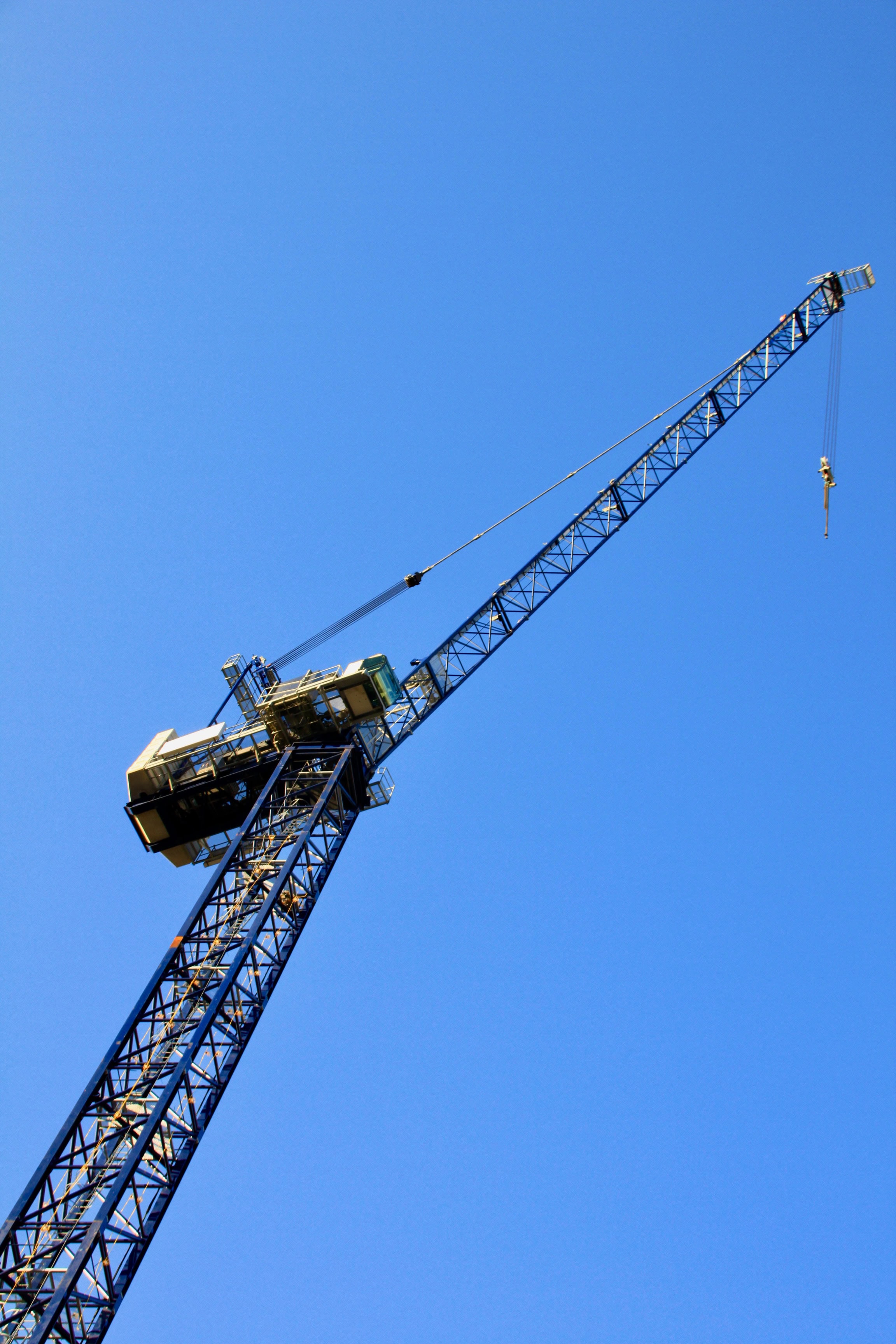 Crane