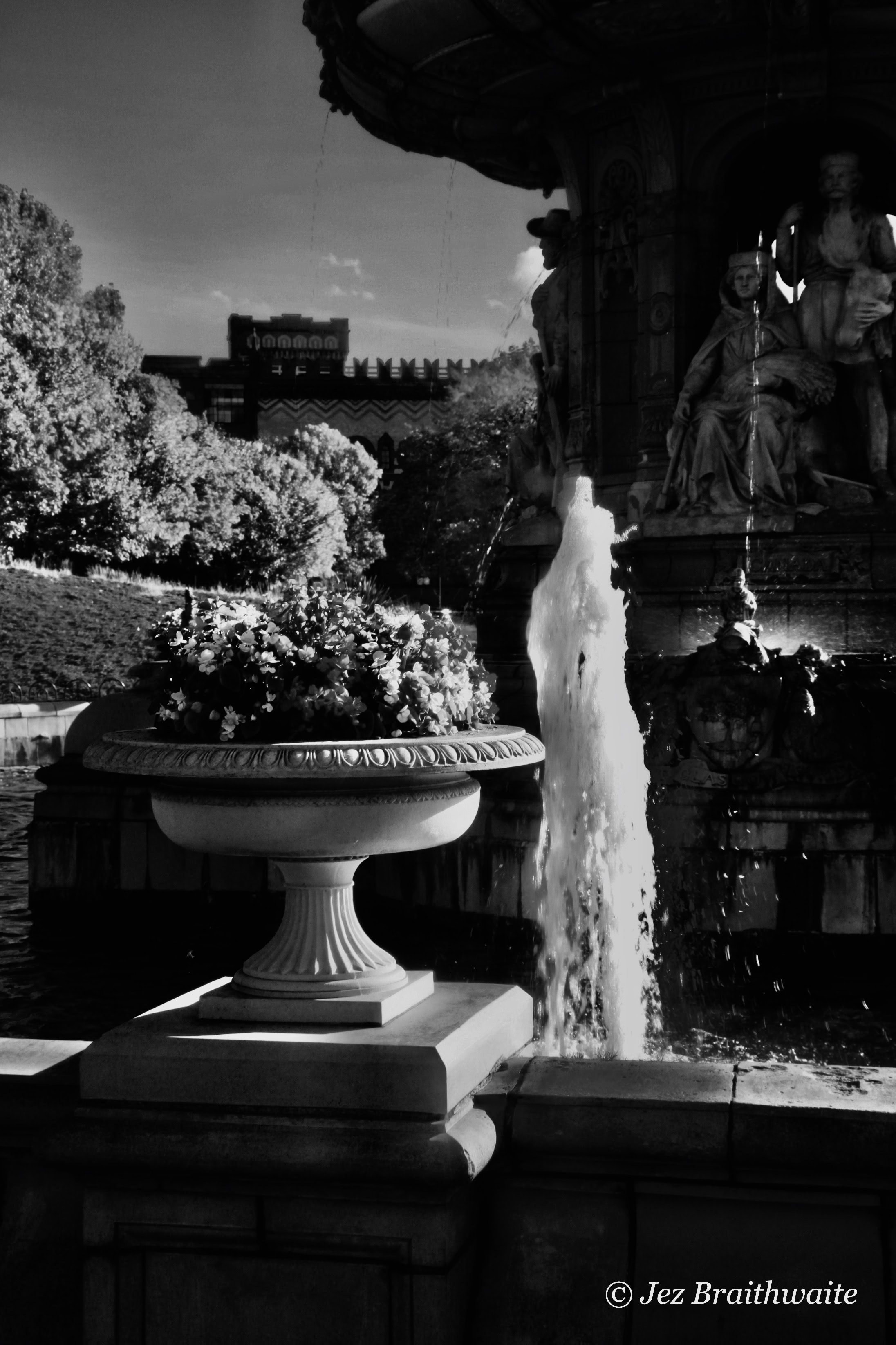 Fountain by Jez Braithwaite