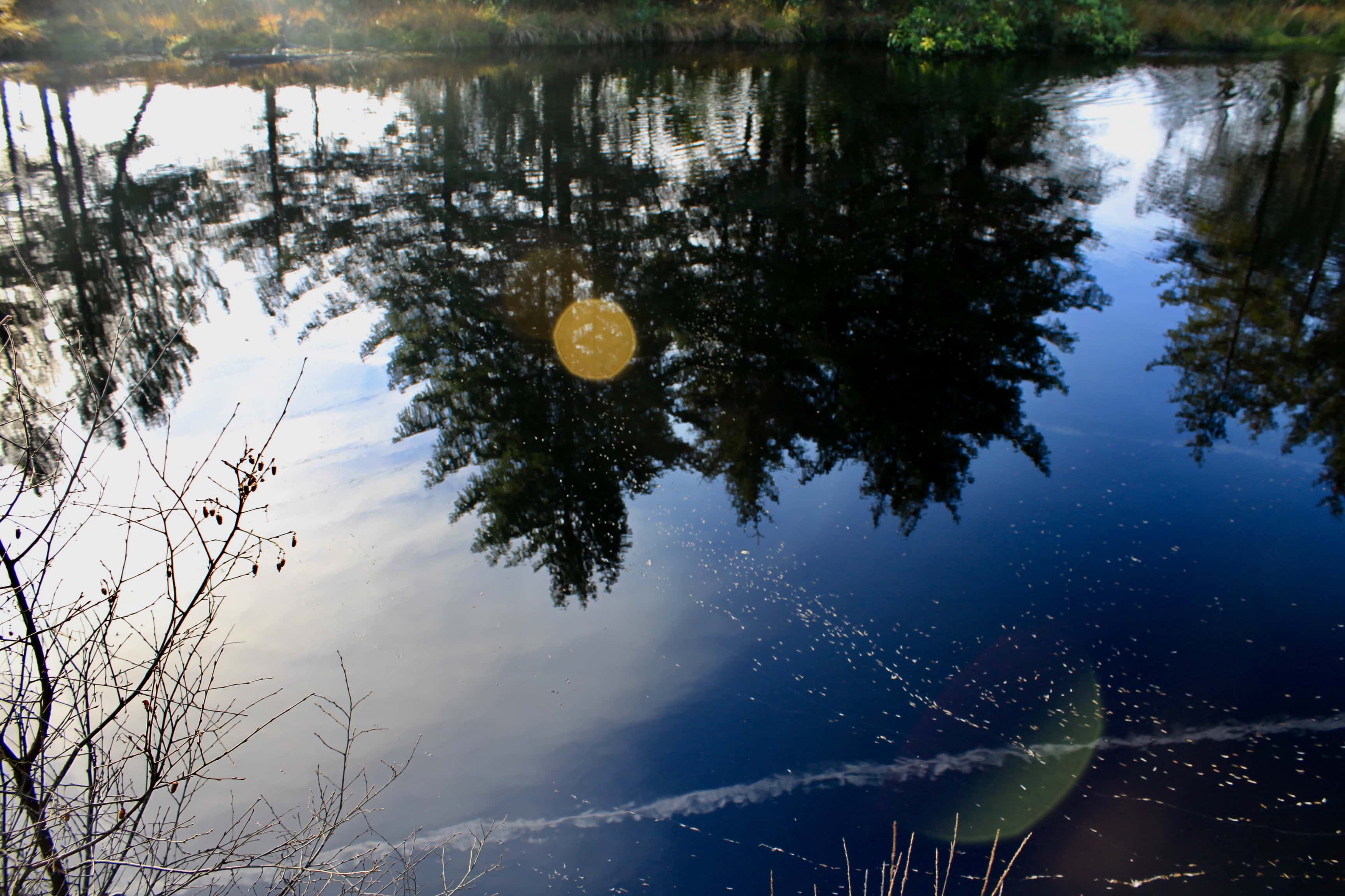 Reflections