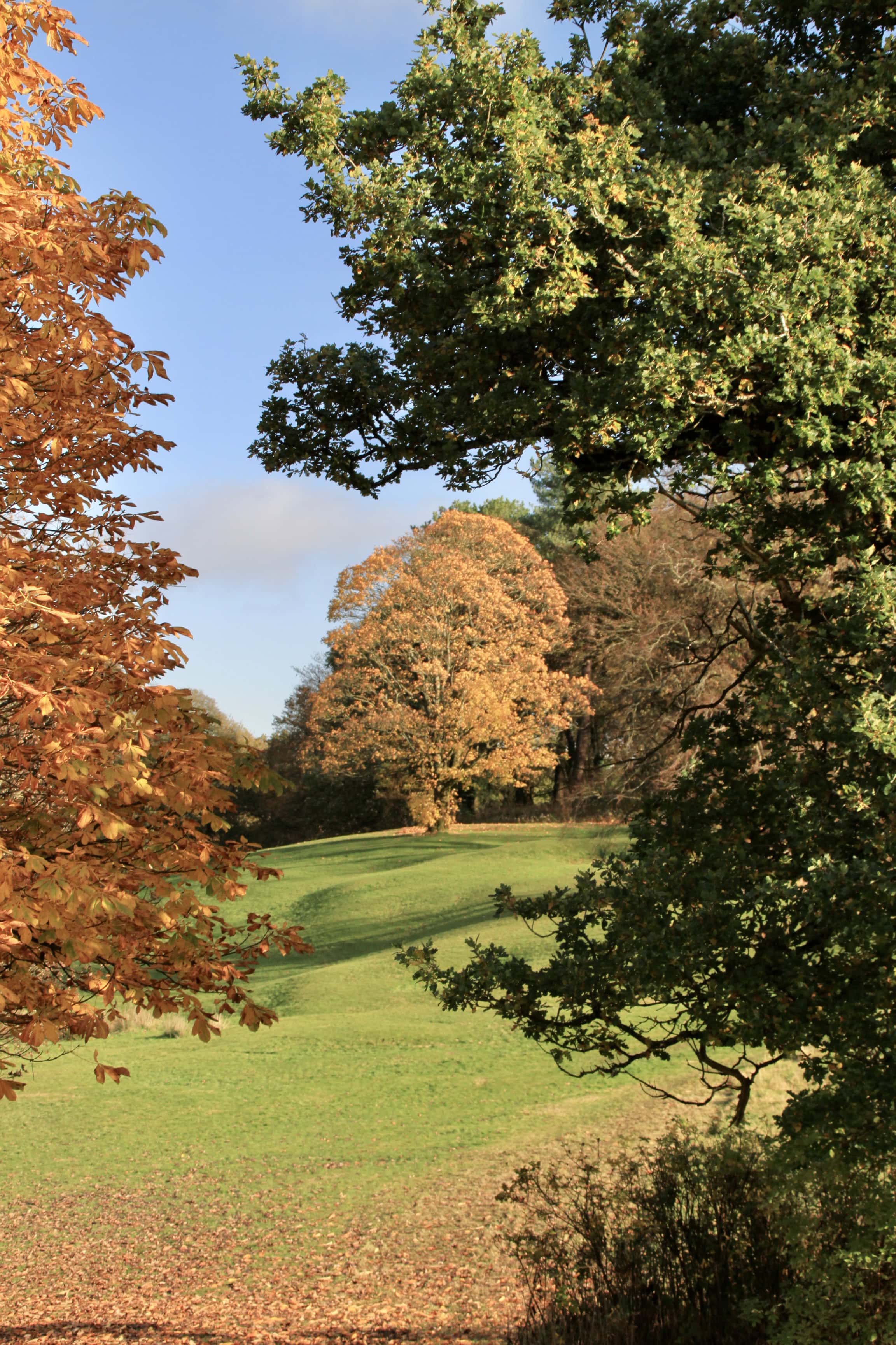 Cumbernauld House Park