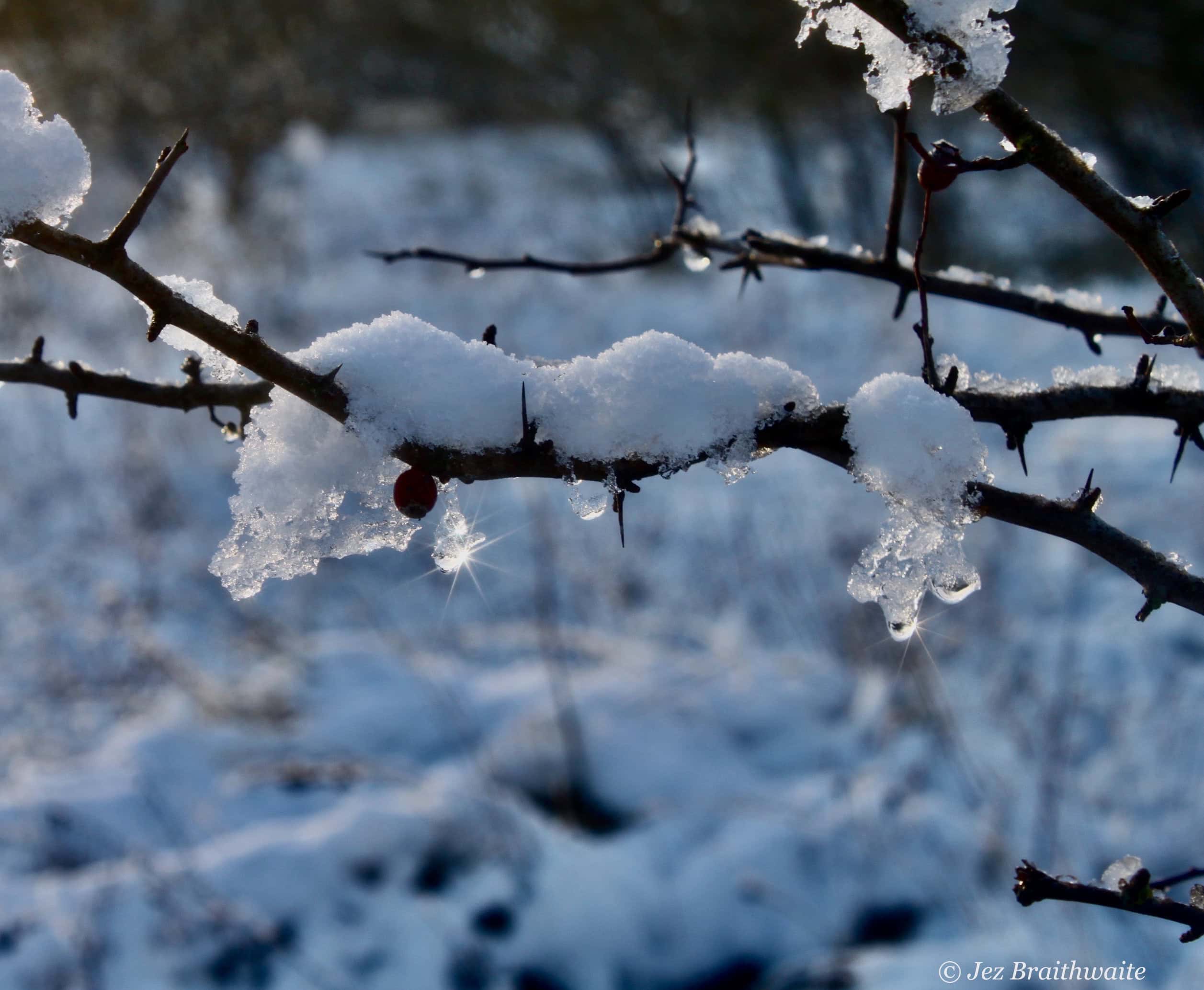 Ice