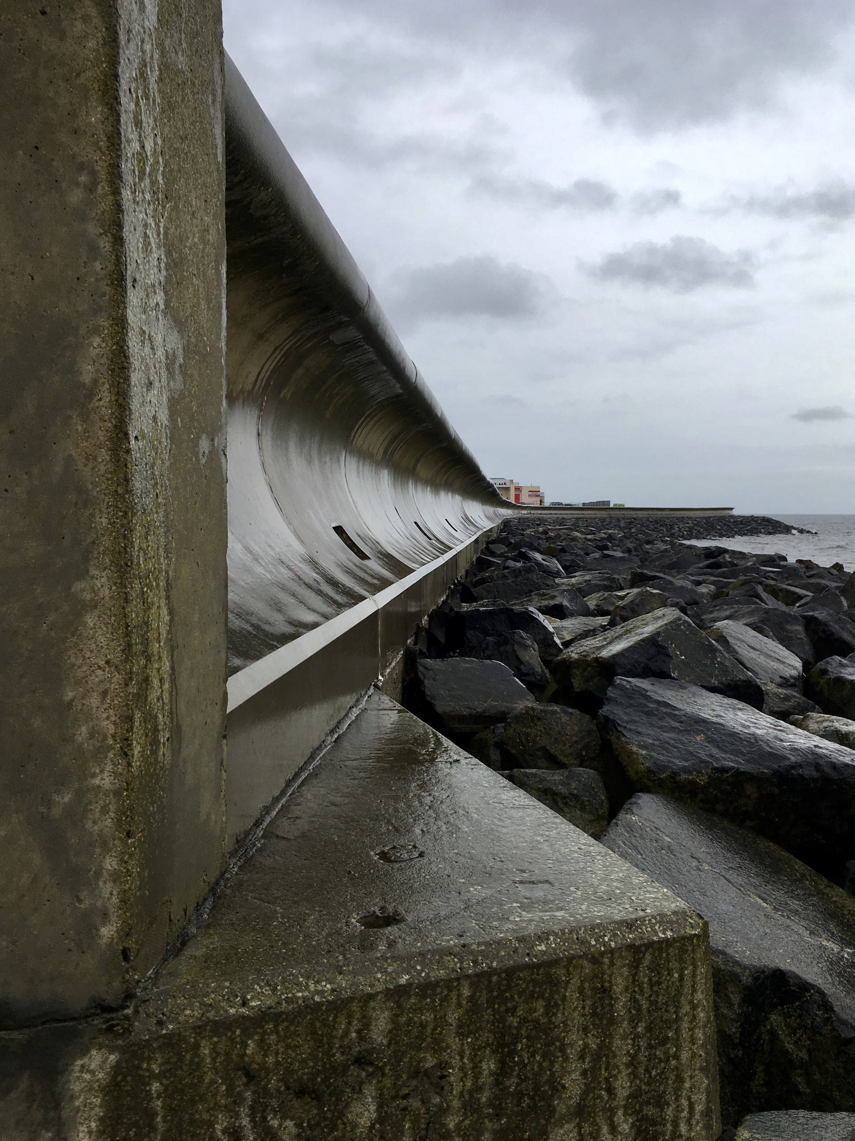Into the Distance — CFFC