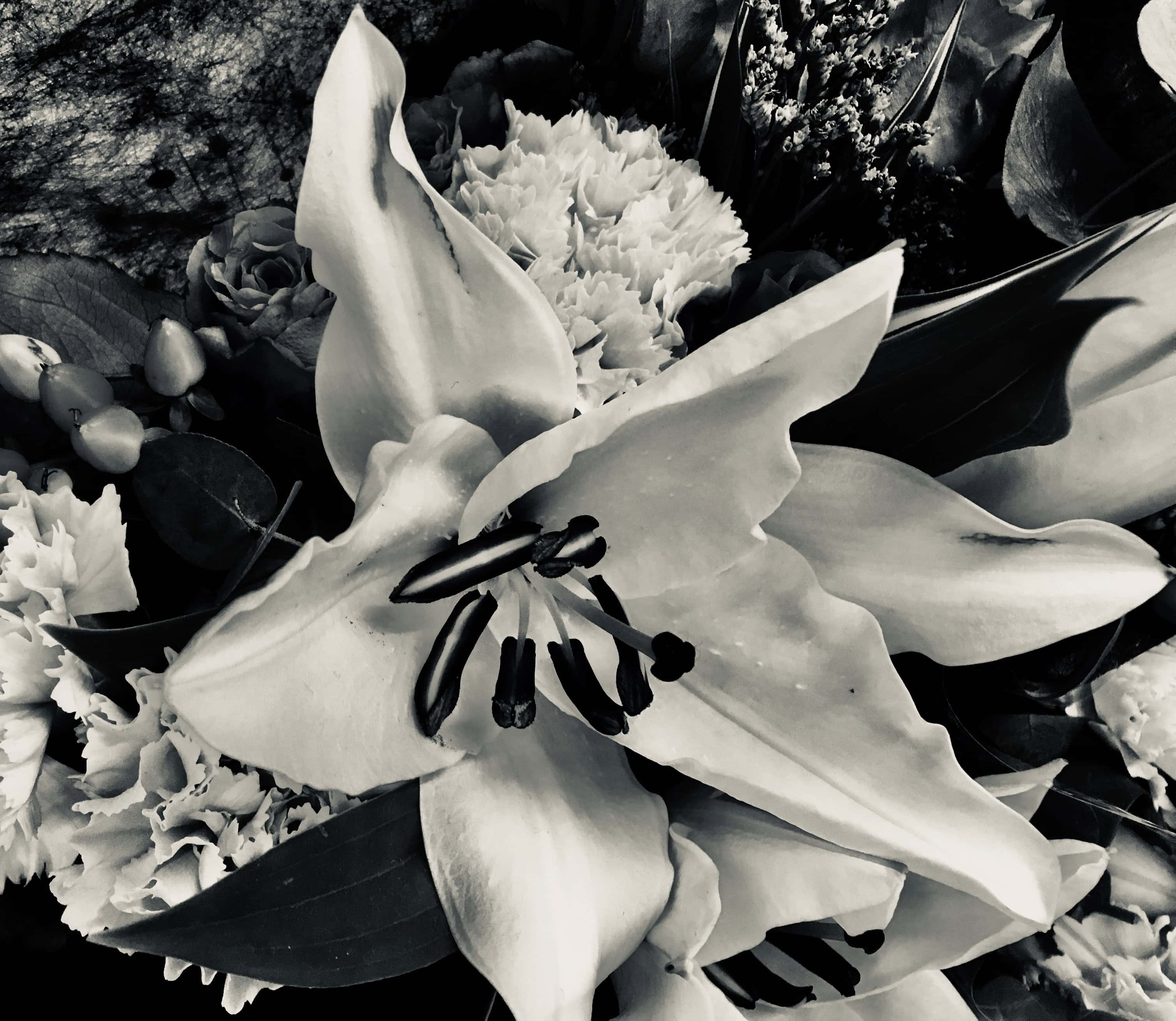 Lily in silvertone