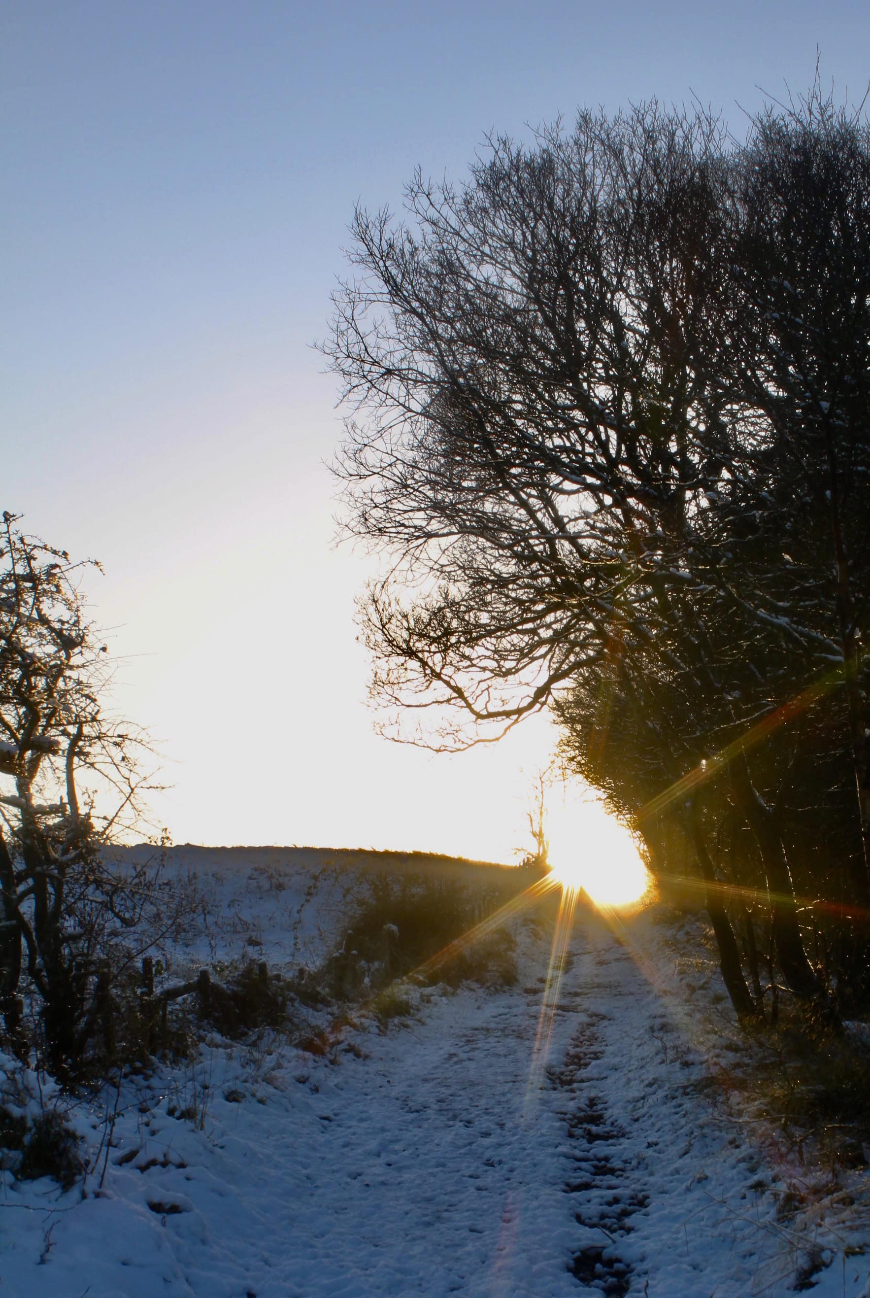 Palacerigg Country Park