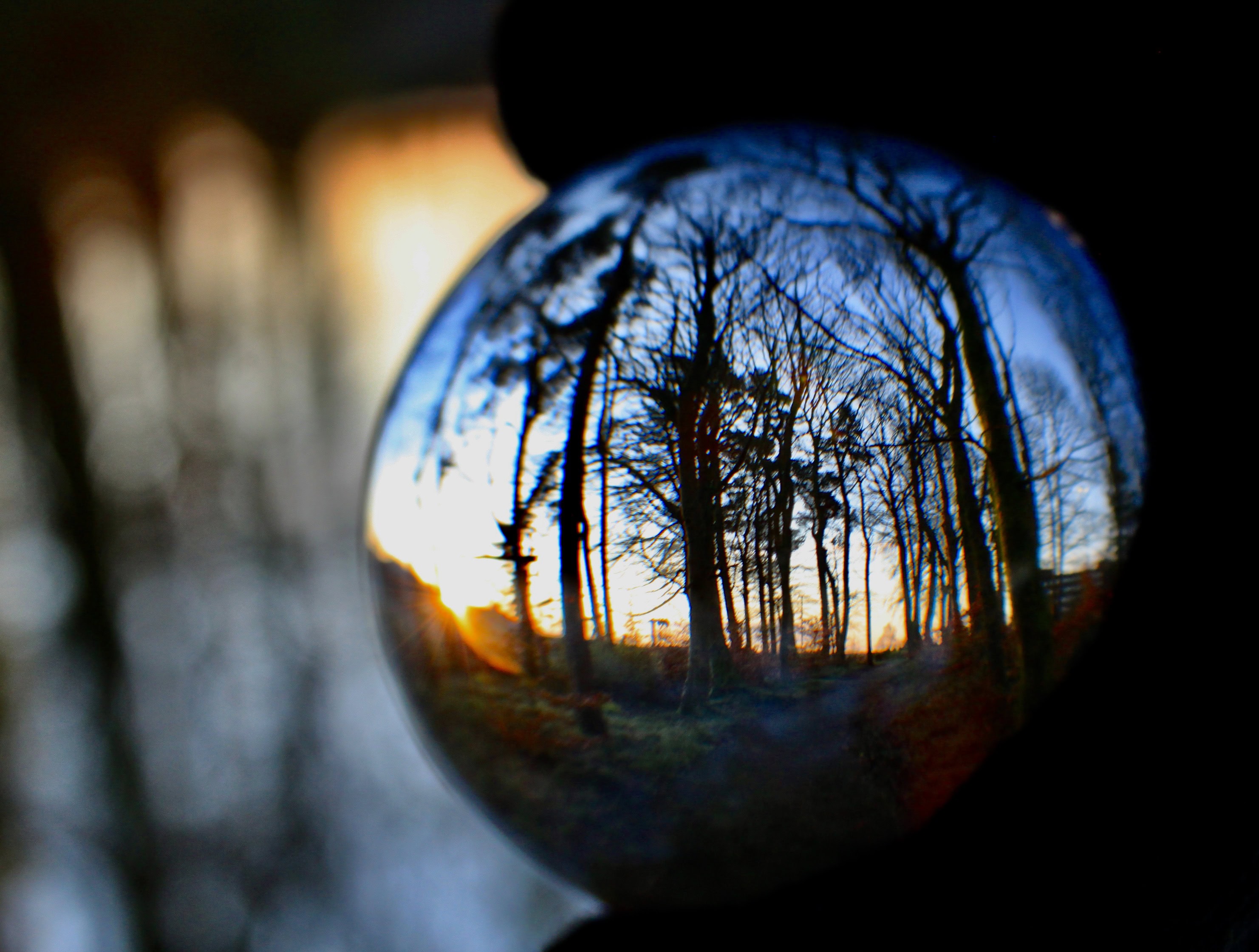 Lensball silent sunday