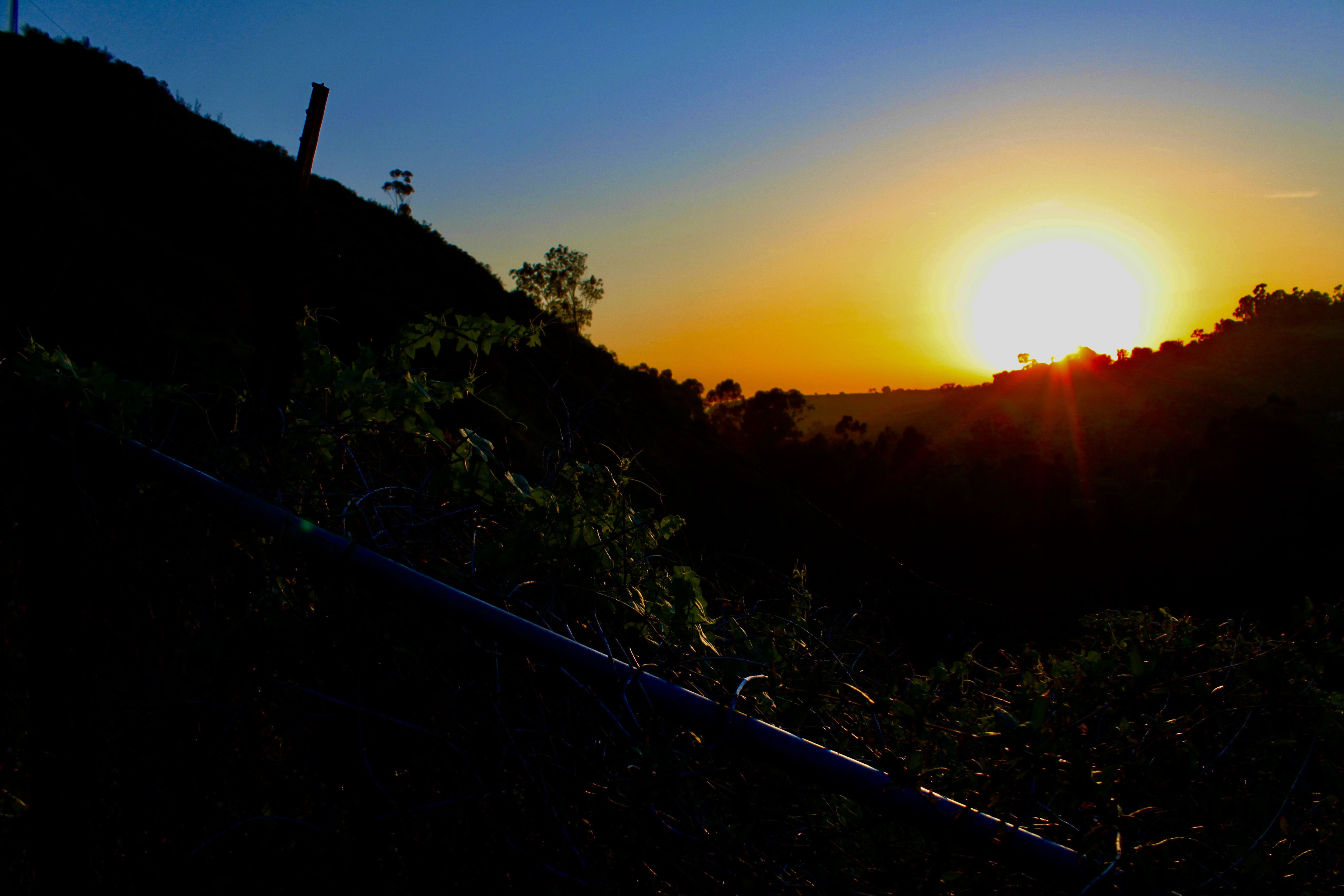 Malibu Sunset