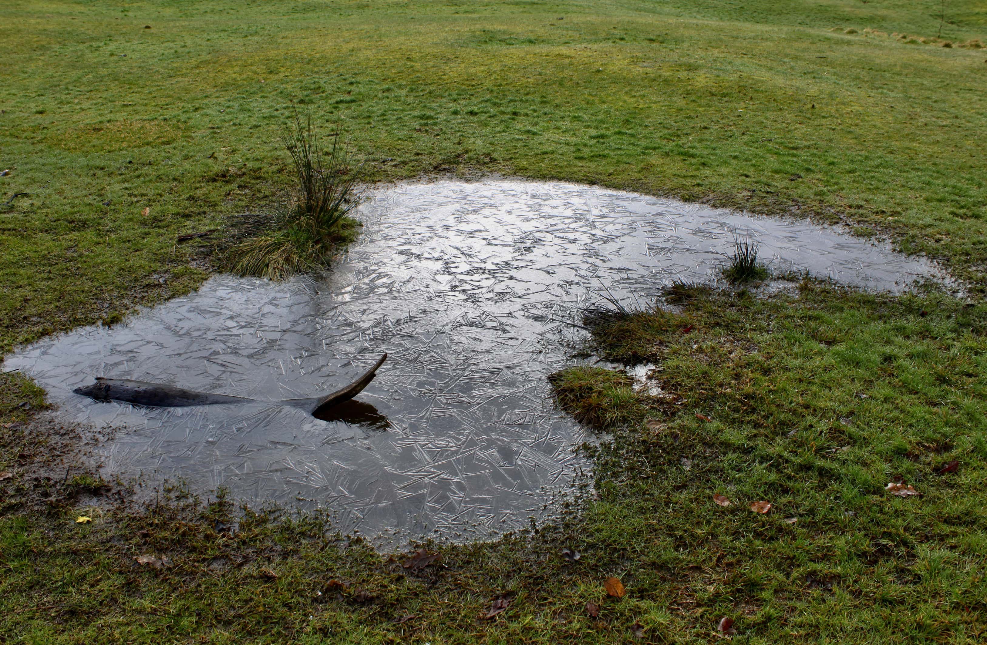 Frozen pond