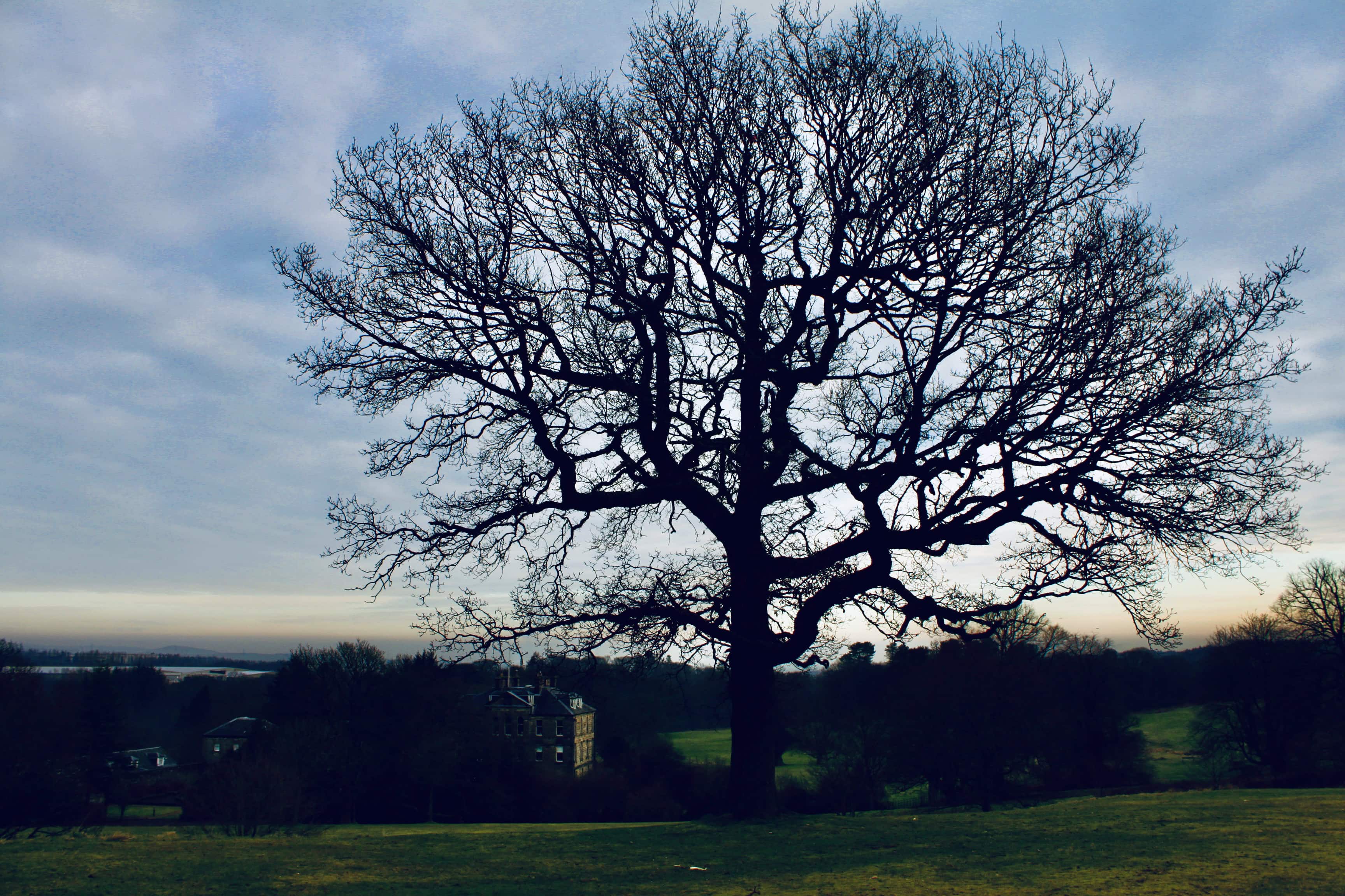 Cumbernauld House Park