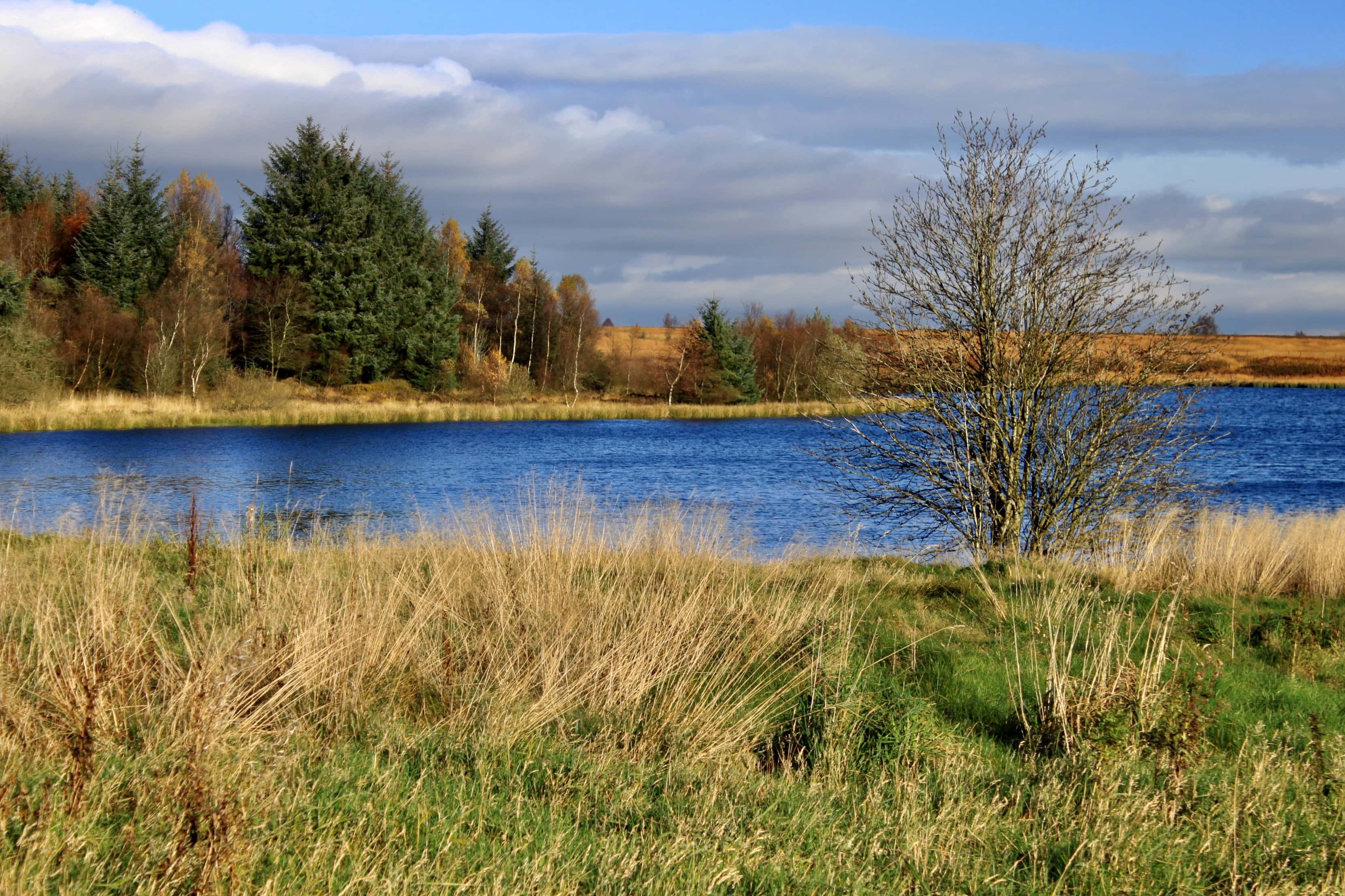 Fannyside Loch
