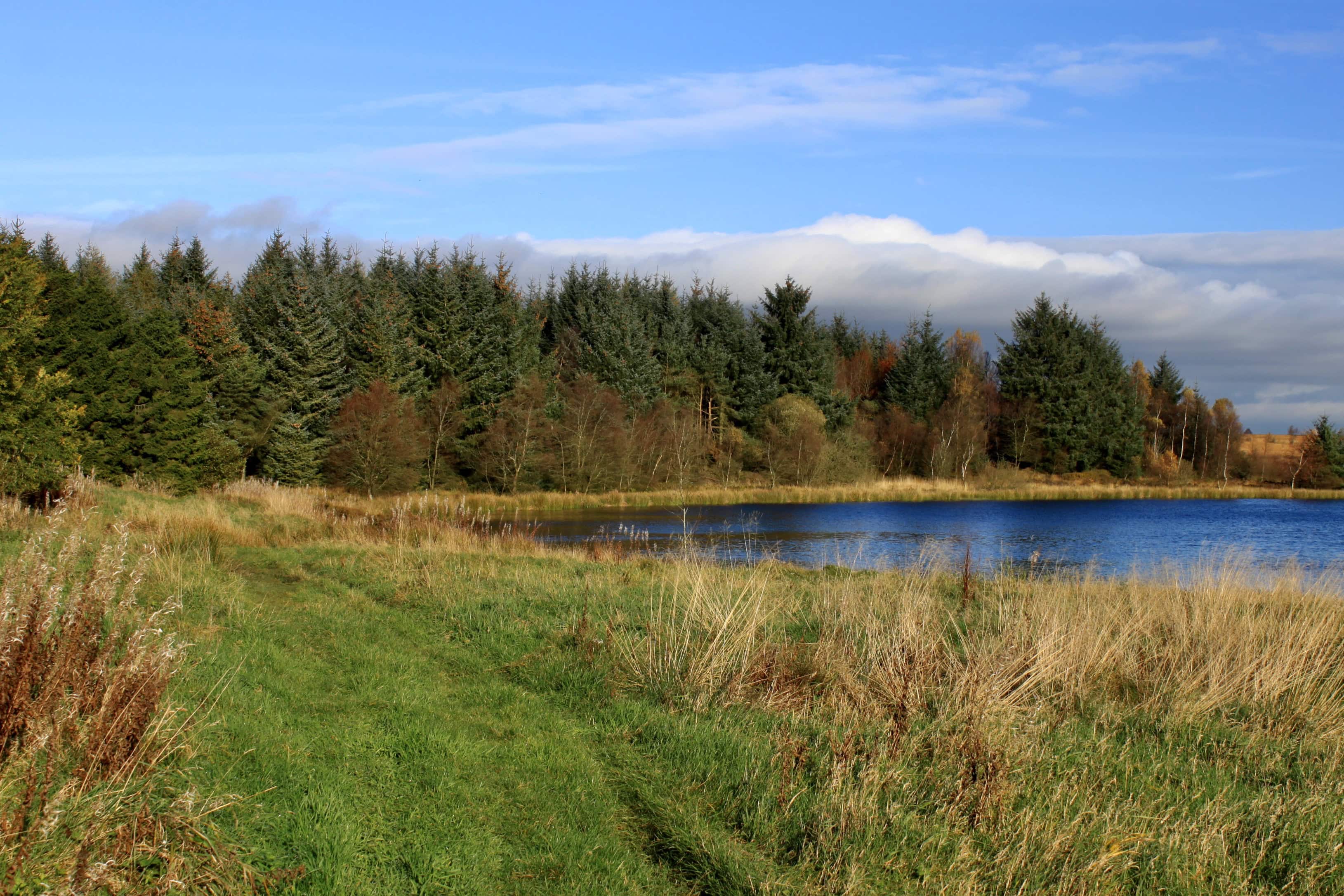 Fannyside Loch
