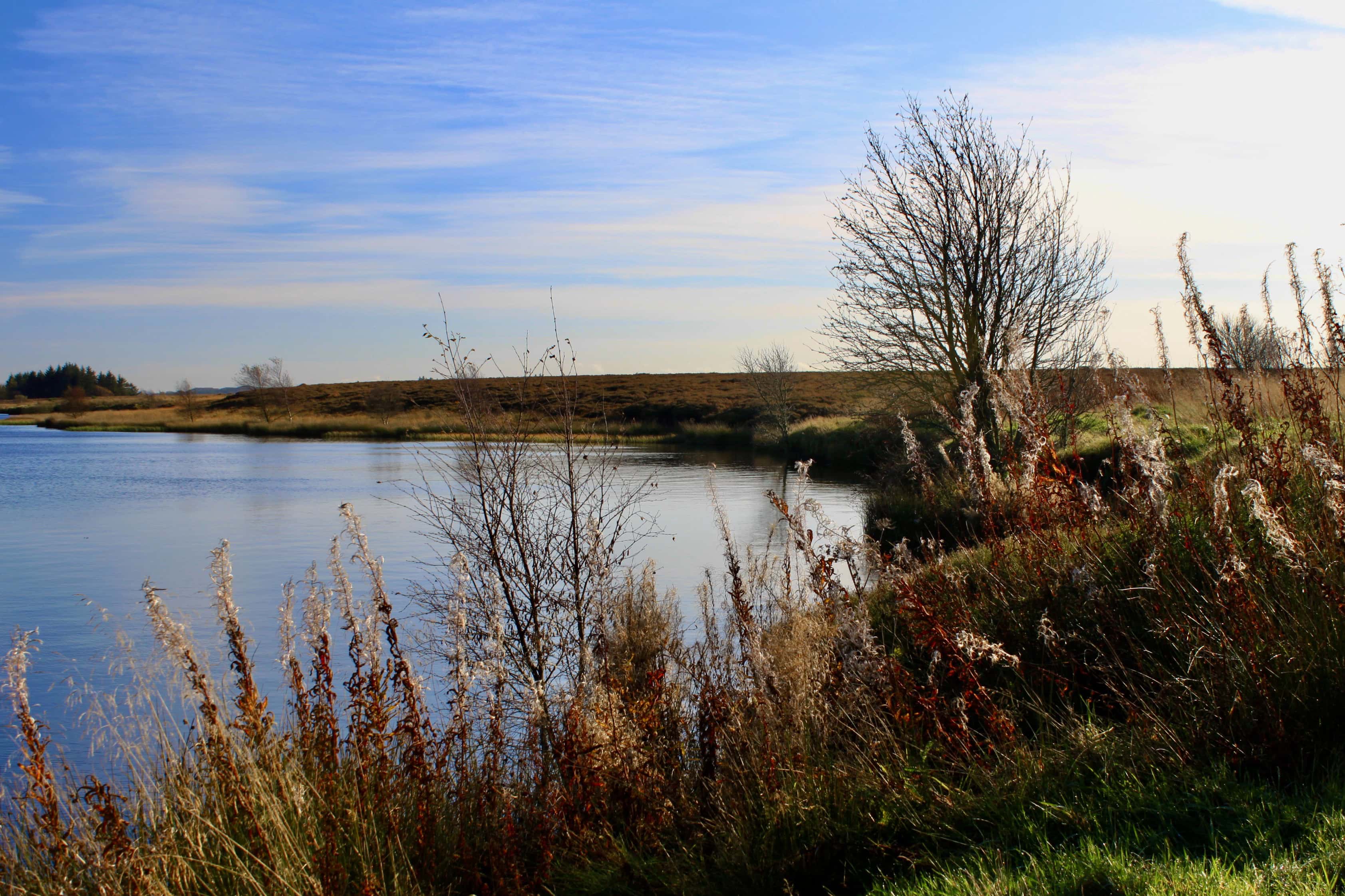Fannyside Loch — Water Water Everywhere #20