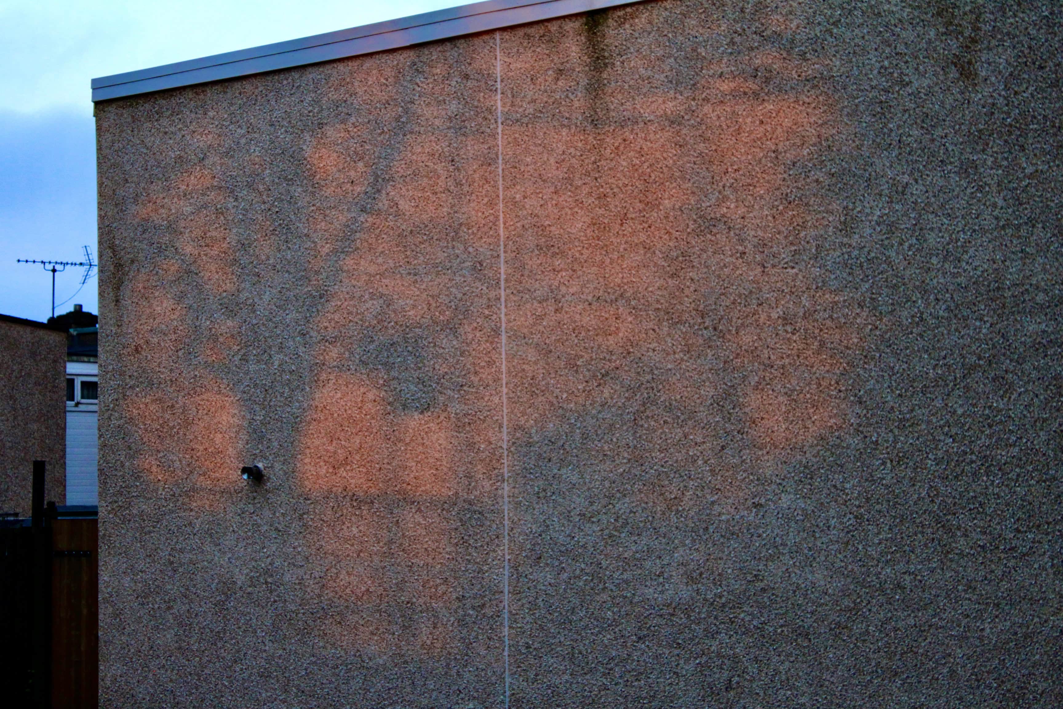 Shadows at sunrise