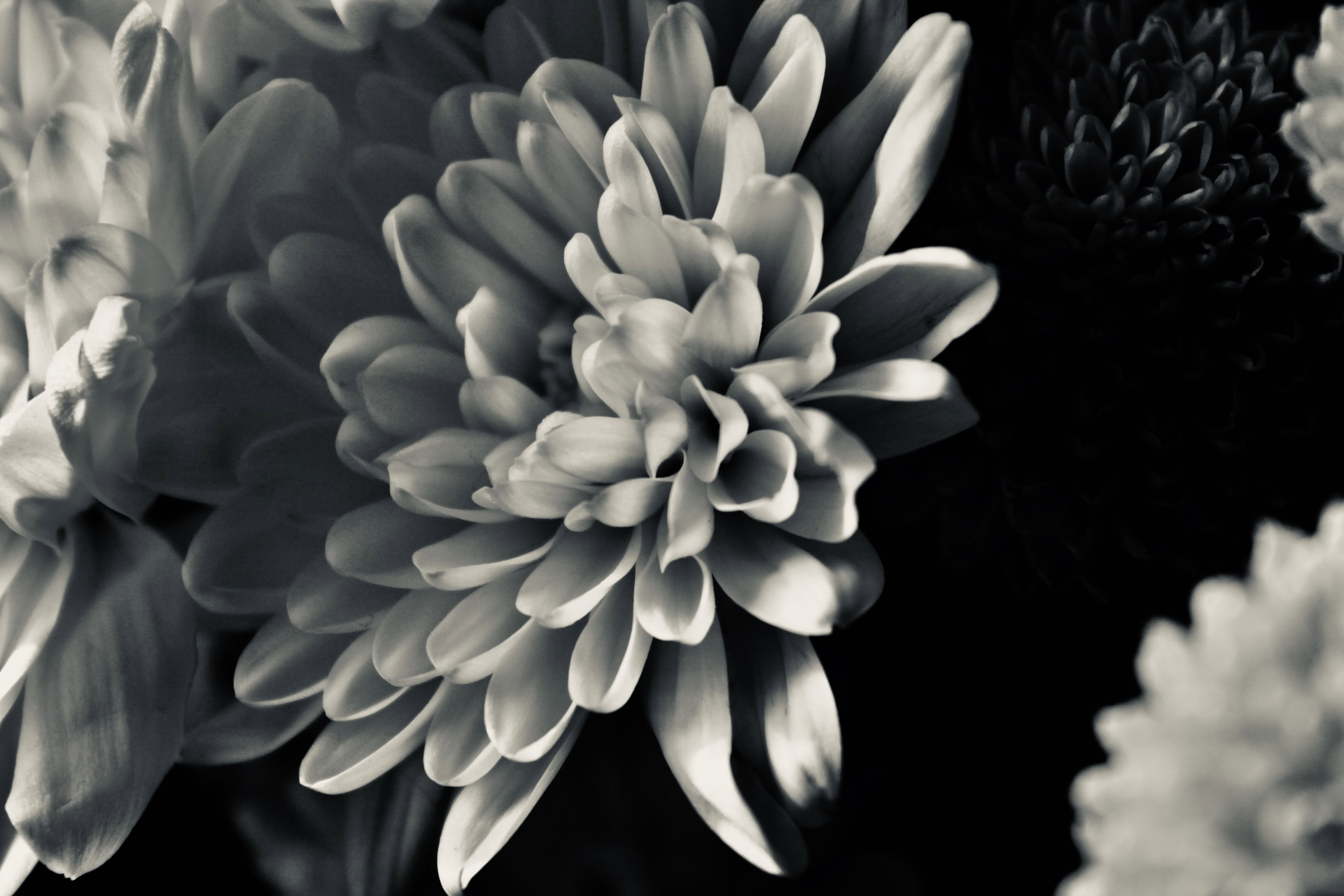In silvertone