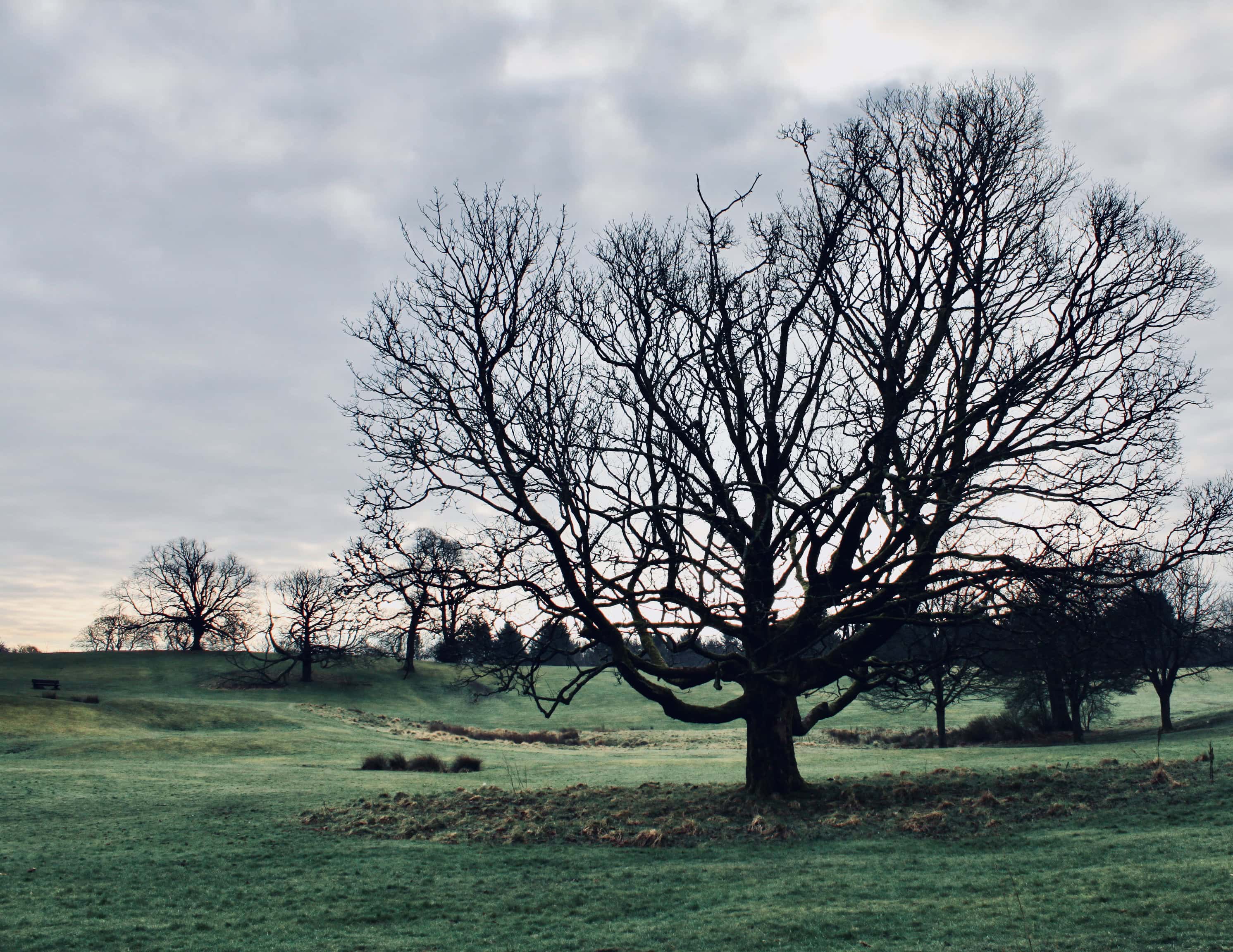 Cumbernauld House Park