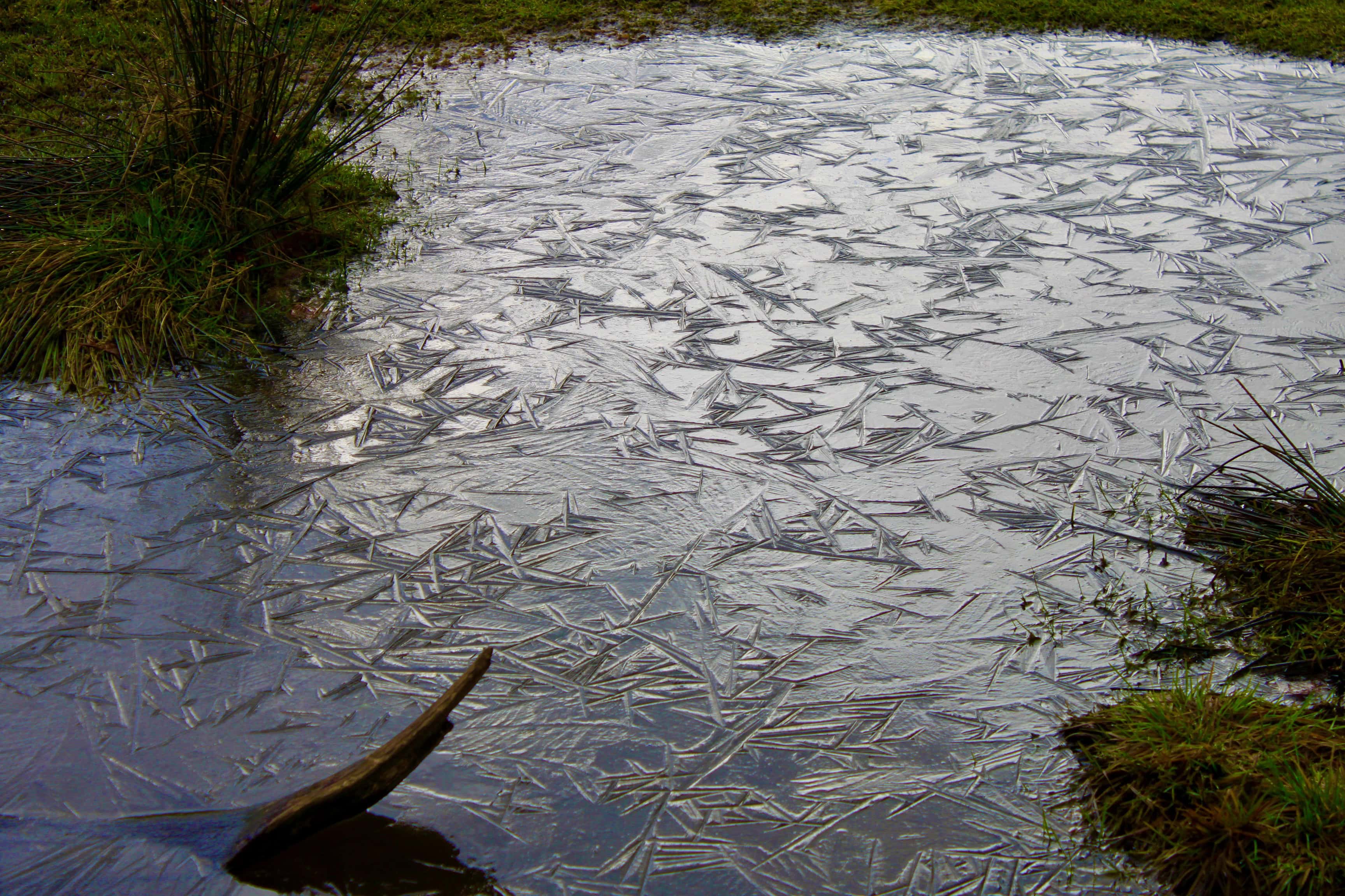 Frozen pond