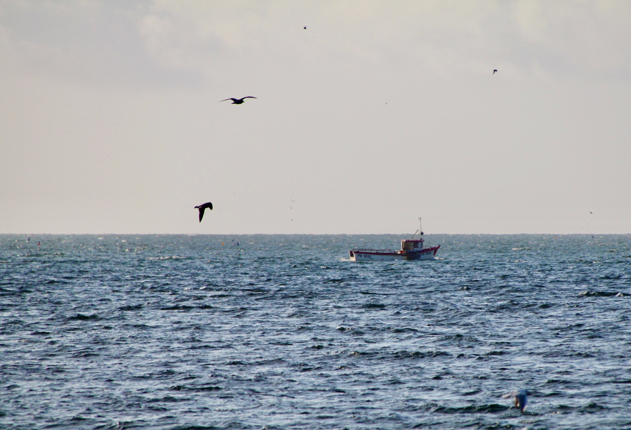 Gone Fishing — Cee’s Fun Foto Challenge