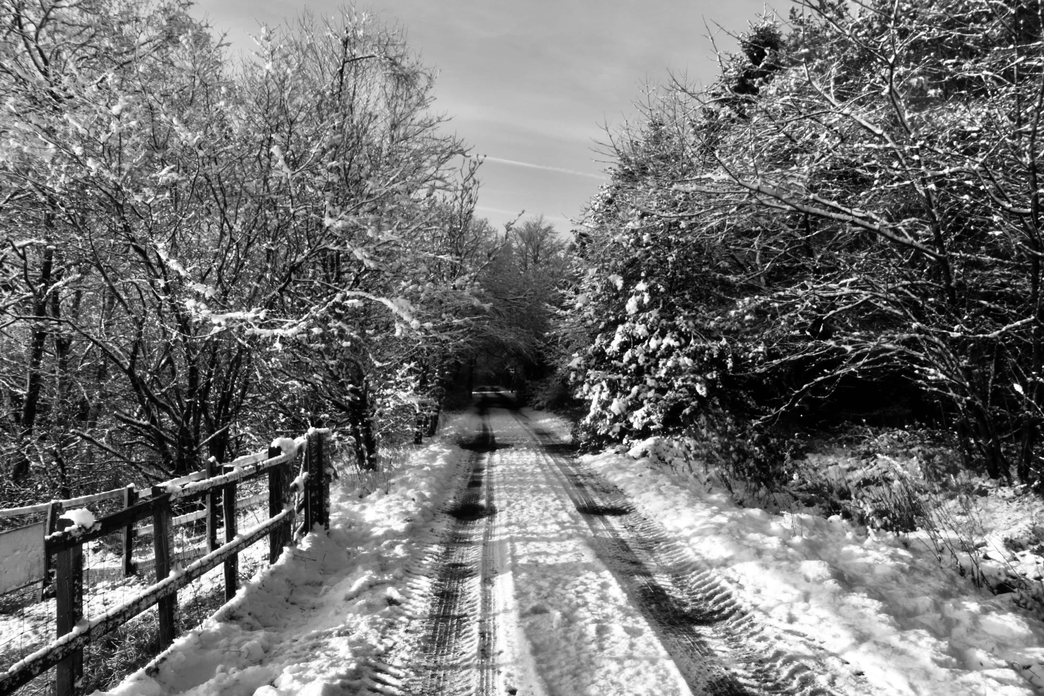 Wheel tracks
